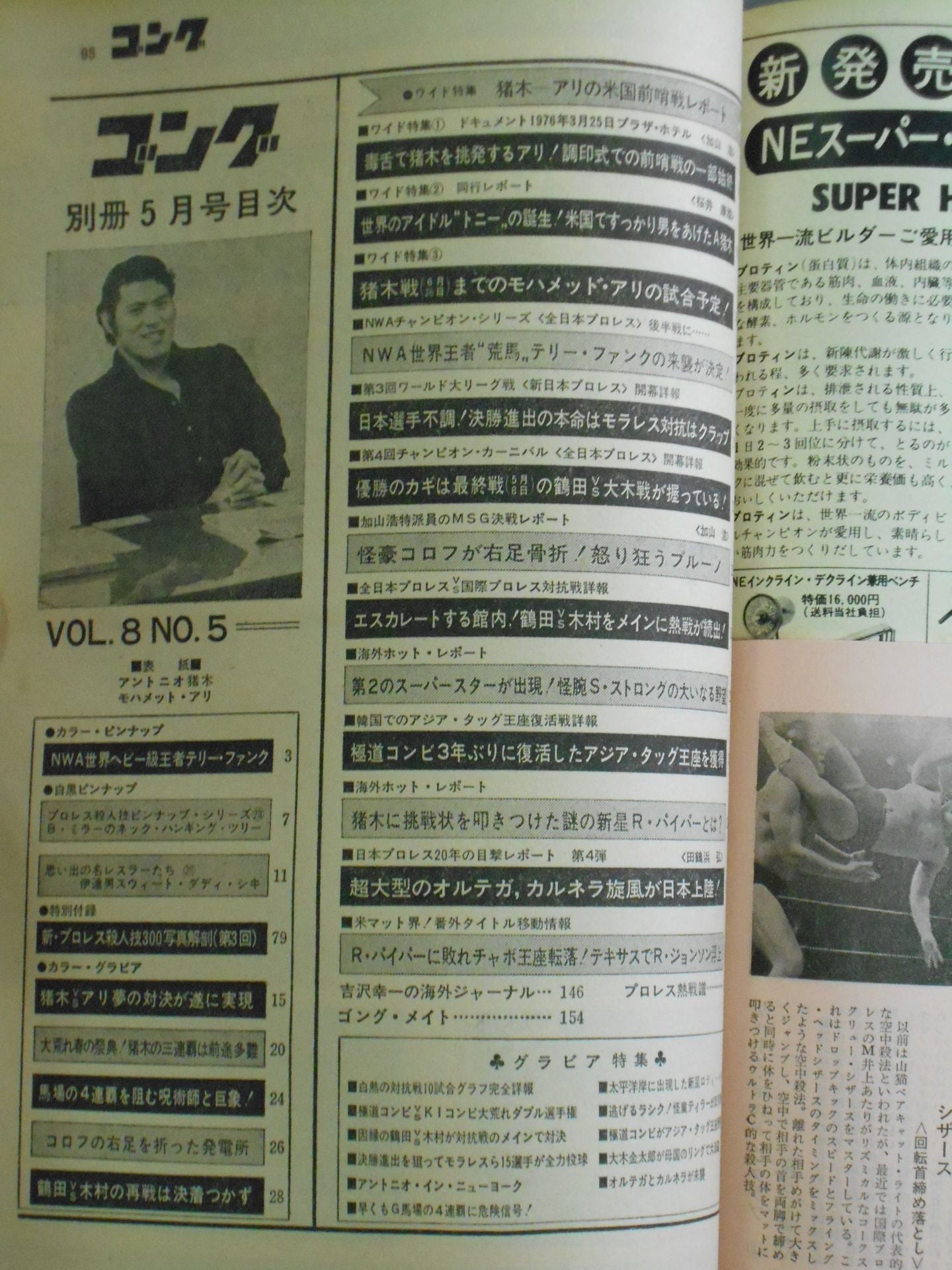 別冊ゴングVol.8 No.5