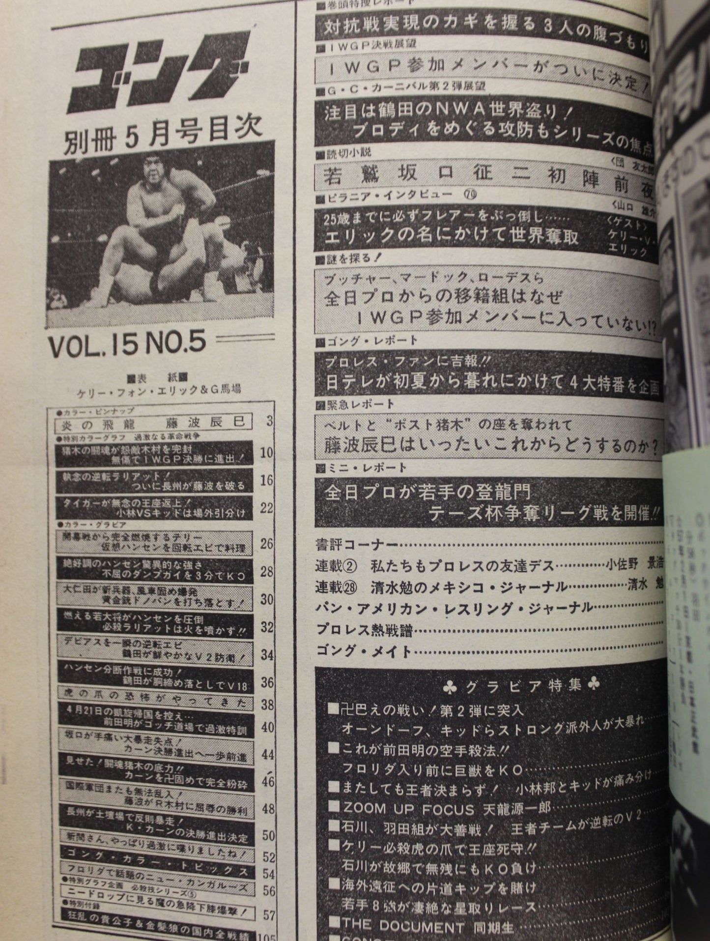 別冊ゴングVol.15 No.5