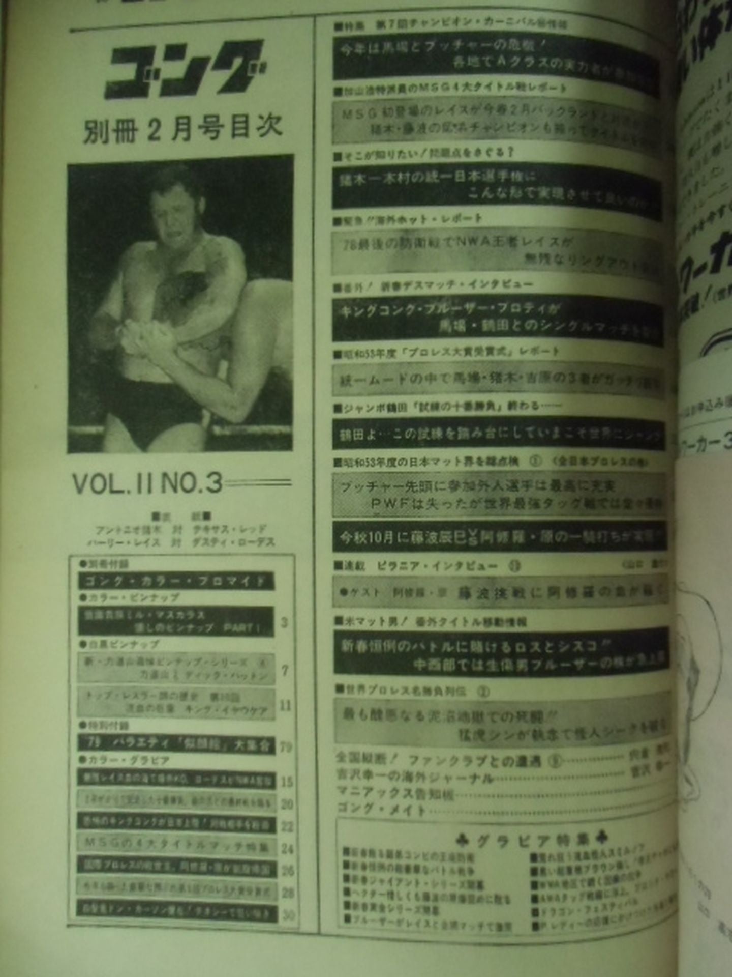別冊ゴングVol.11 No.3