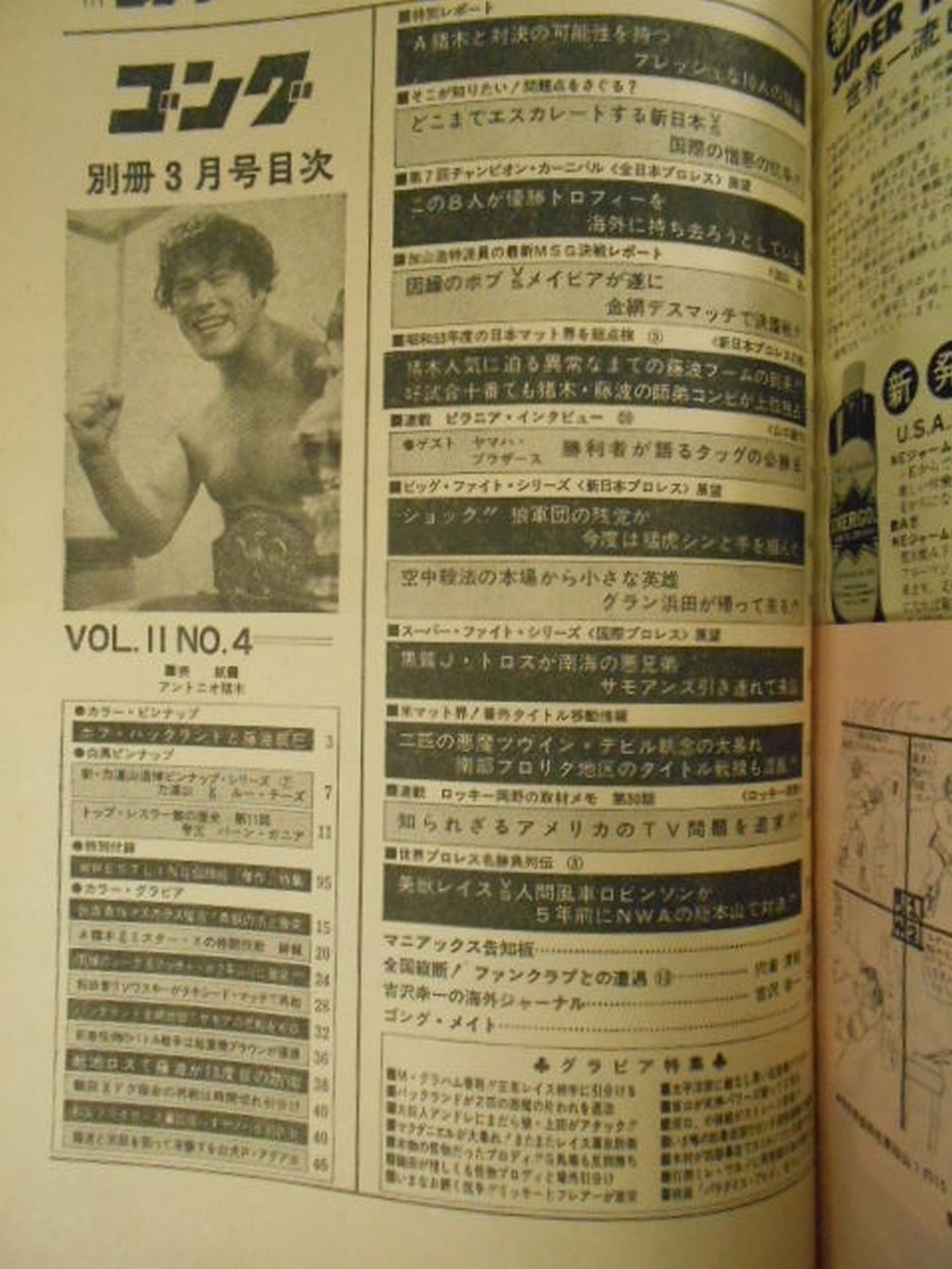 別冊ゴングVol.11 No.4