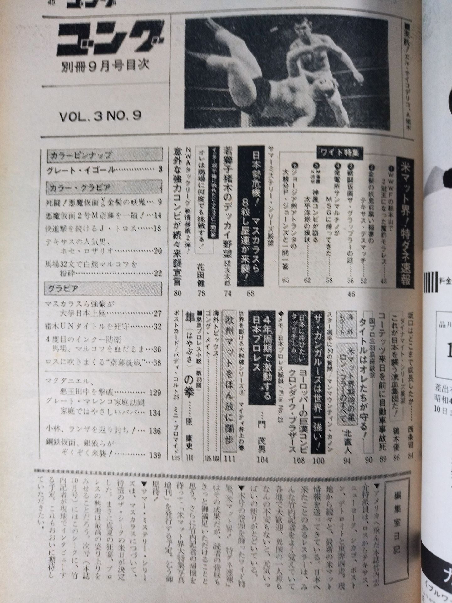 別冊ゴングVol.3 No.9