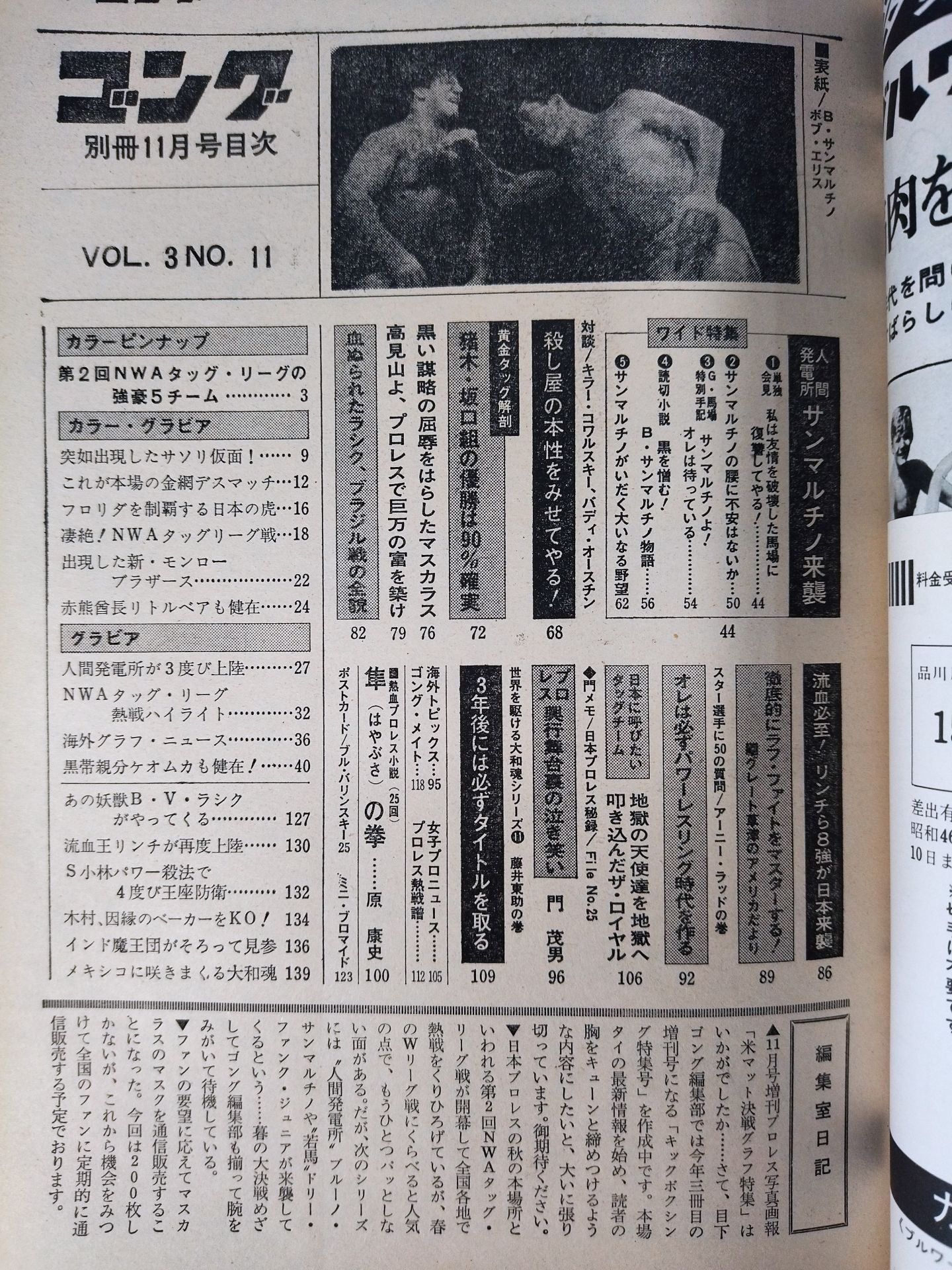 別冊ゴングVol.3 No.11