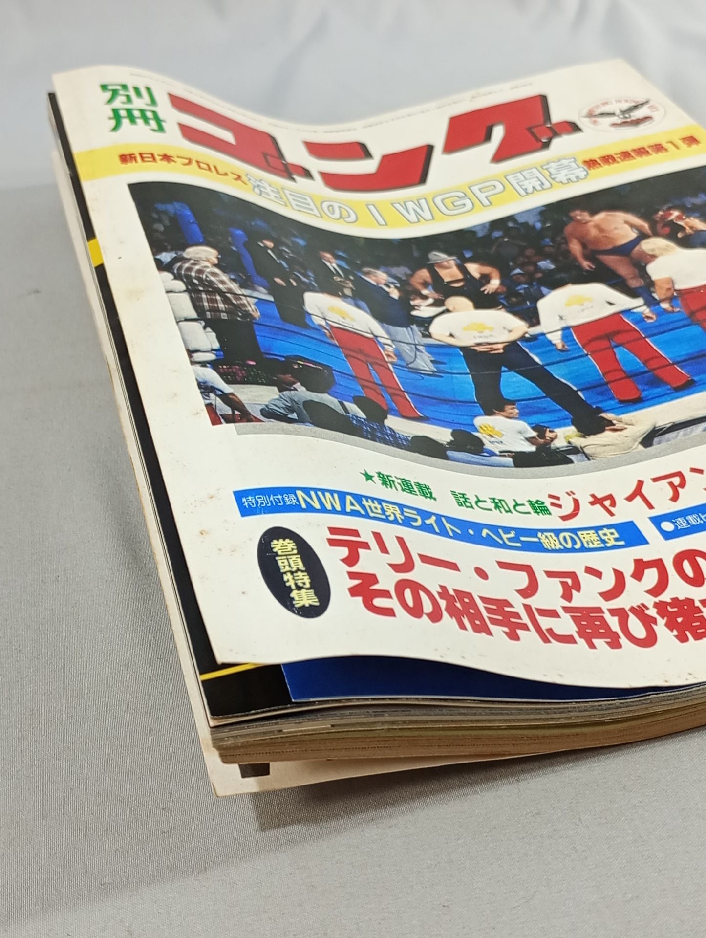 別冊ゴングVol.15 No.6