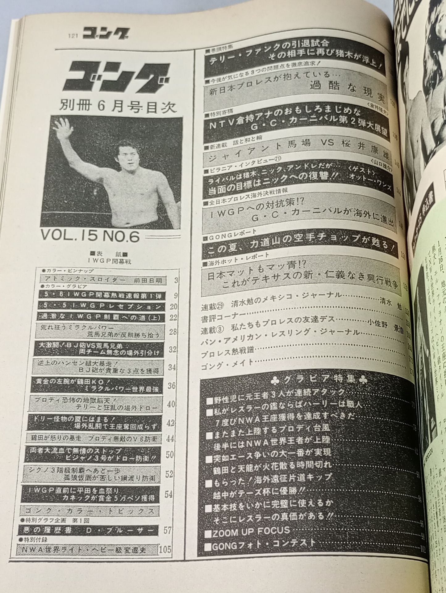 別冊ゴングVol.15 No.6