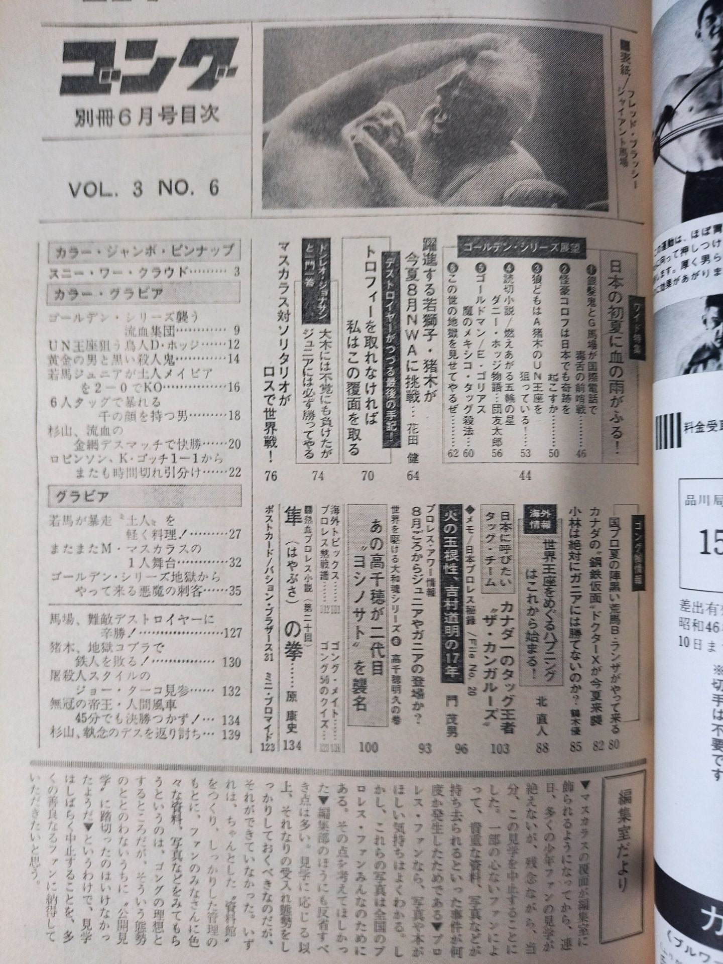 別冊ゴングVol.3 No.6