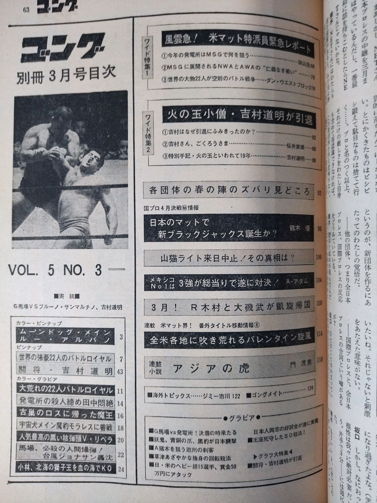 別冊ゴングVol.5 No.3