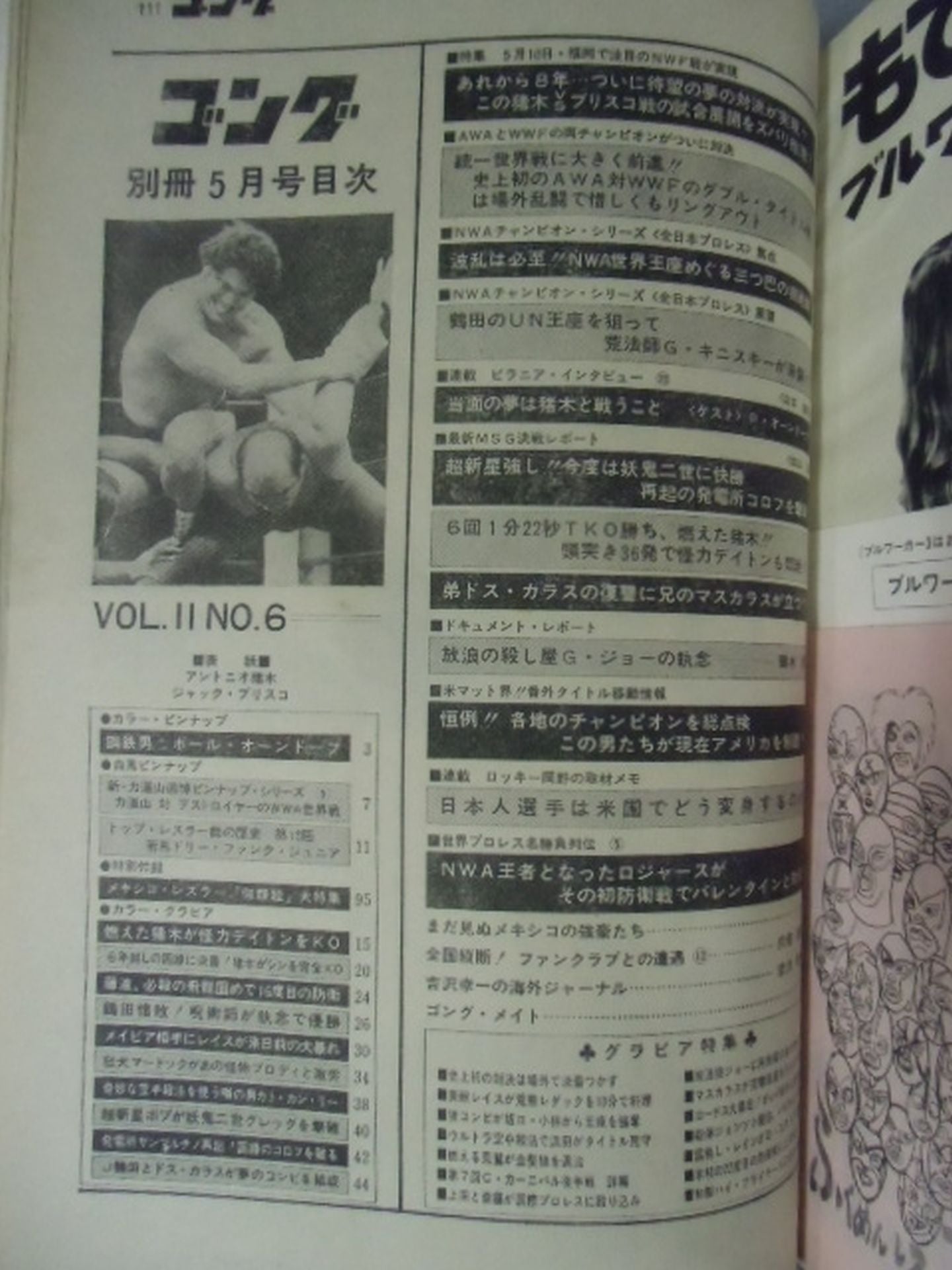 別冊ゴングVol.11 No.6