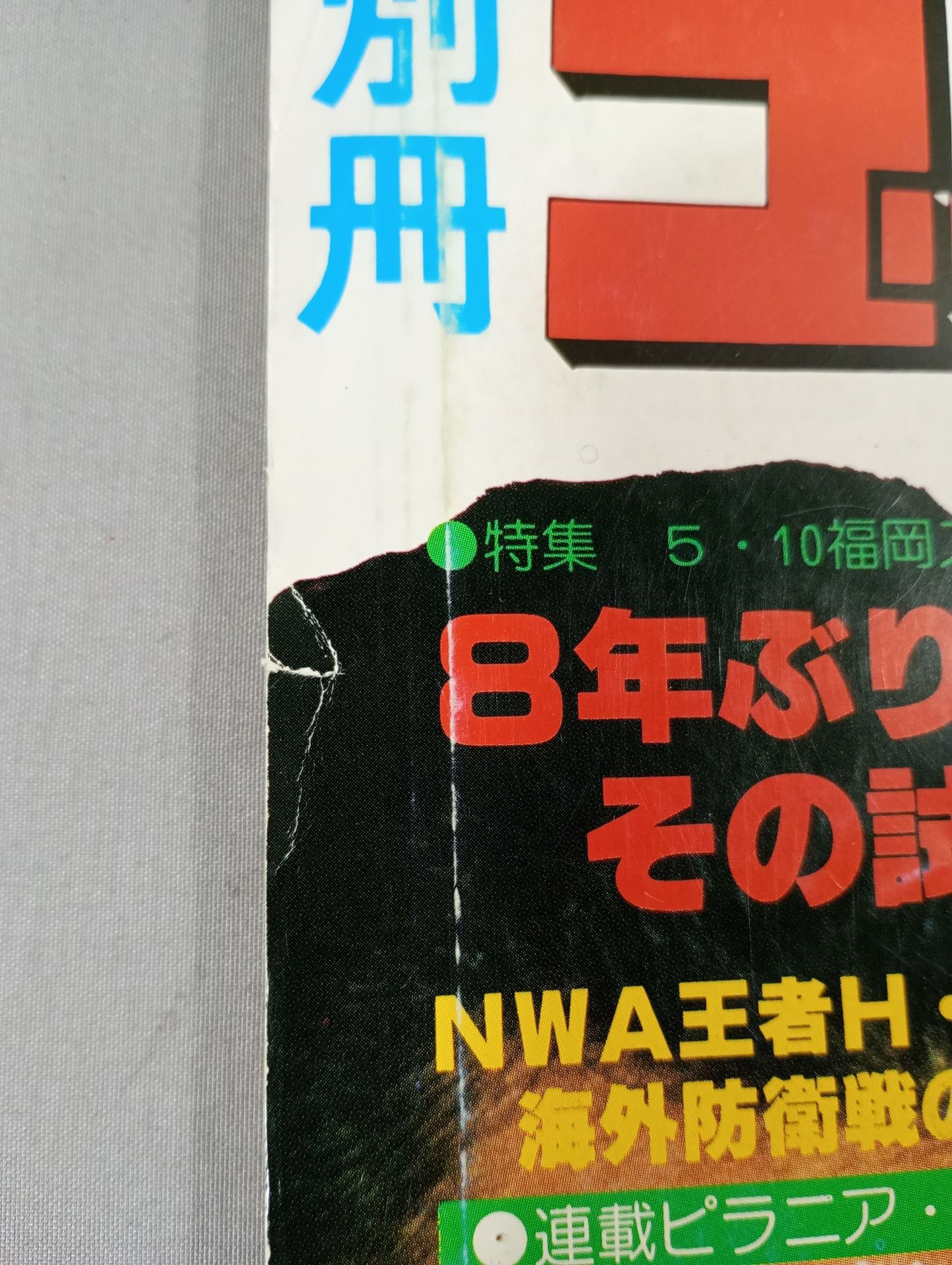別冊ゴングVol.11 No.6