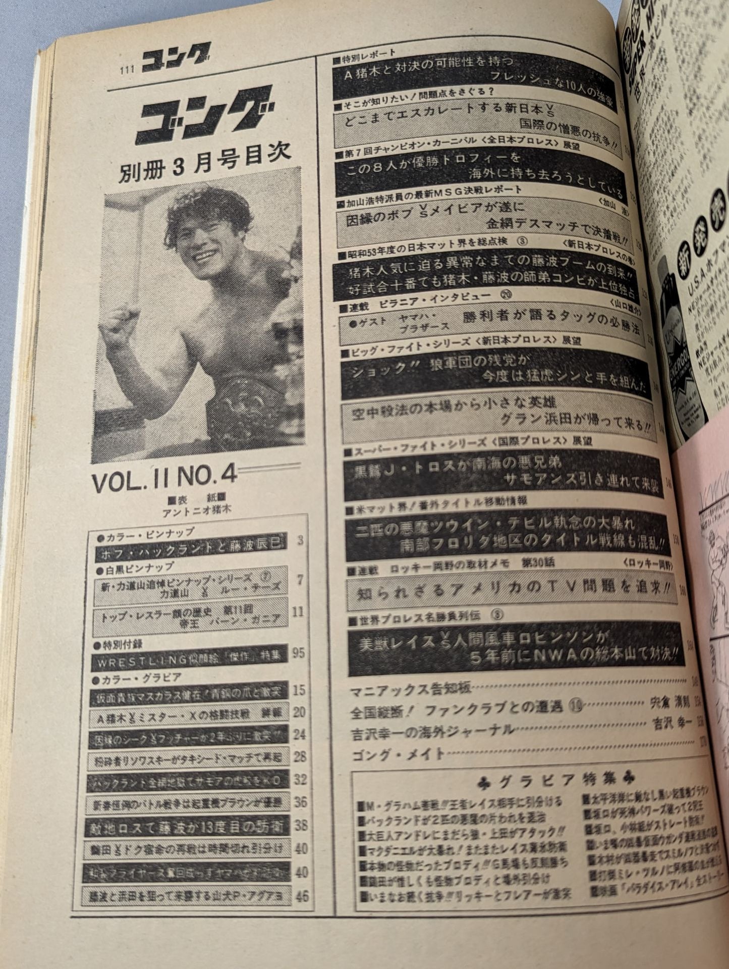 別冊ゴングVol.11 No.4