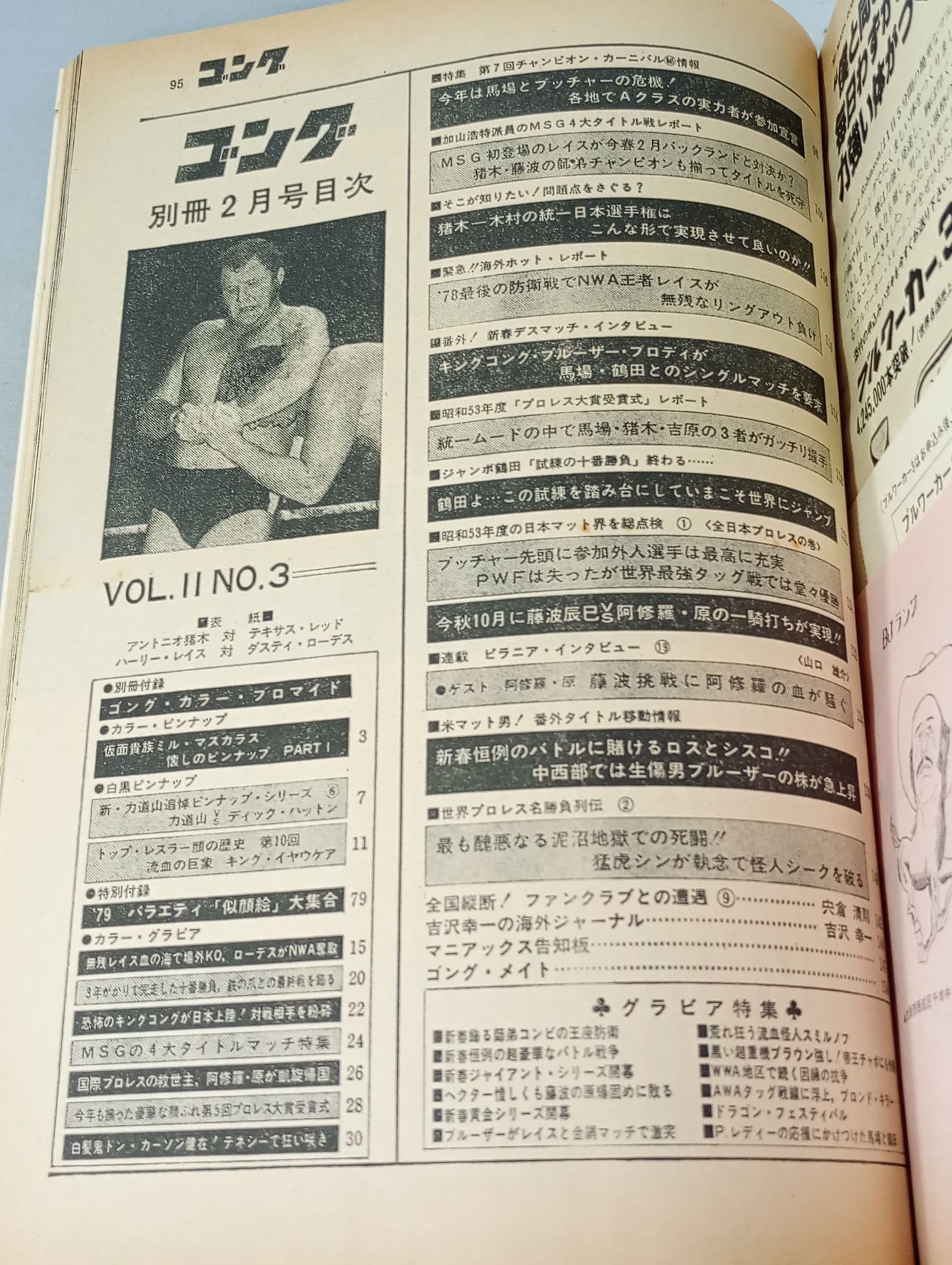 別冊ゴングVol.11 No.3