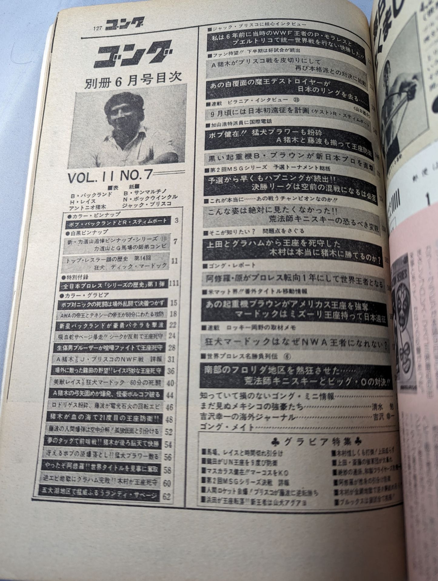 別冊ゴングVol.11 No.7