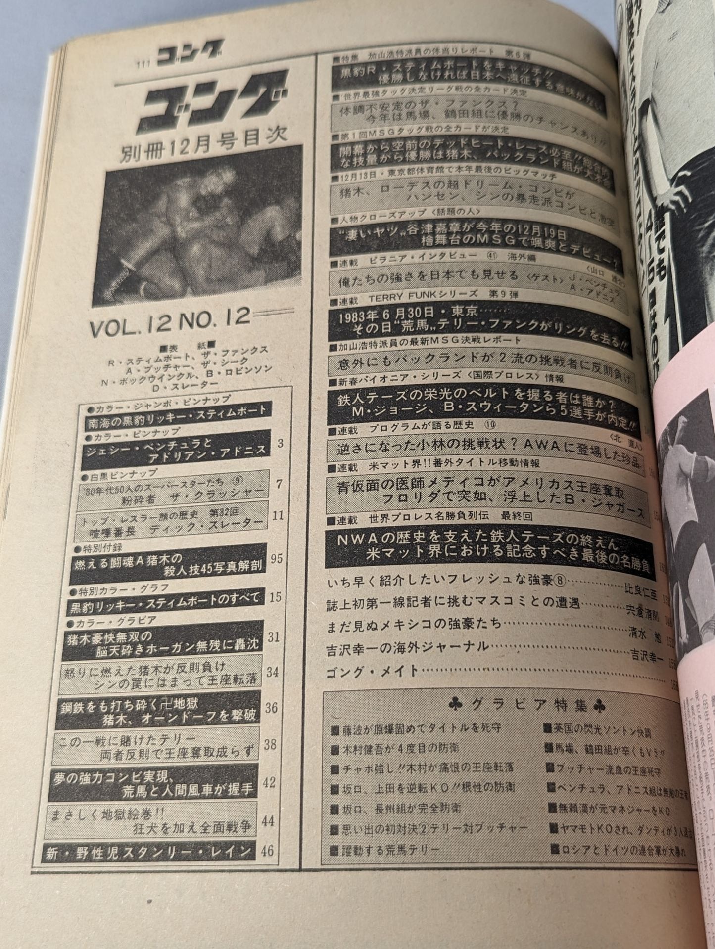 別冊ゴングVol.12 No.12