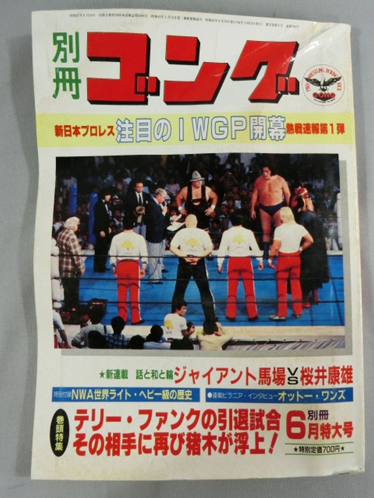 別冊ゴングVol.15 No.6