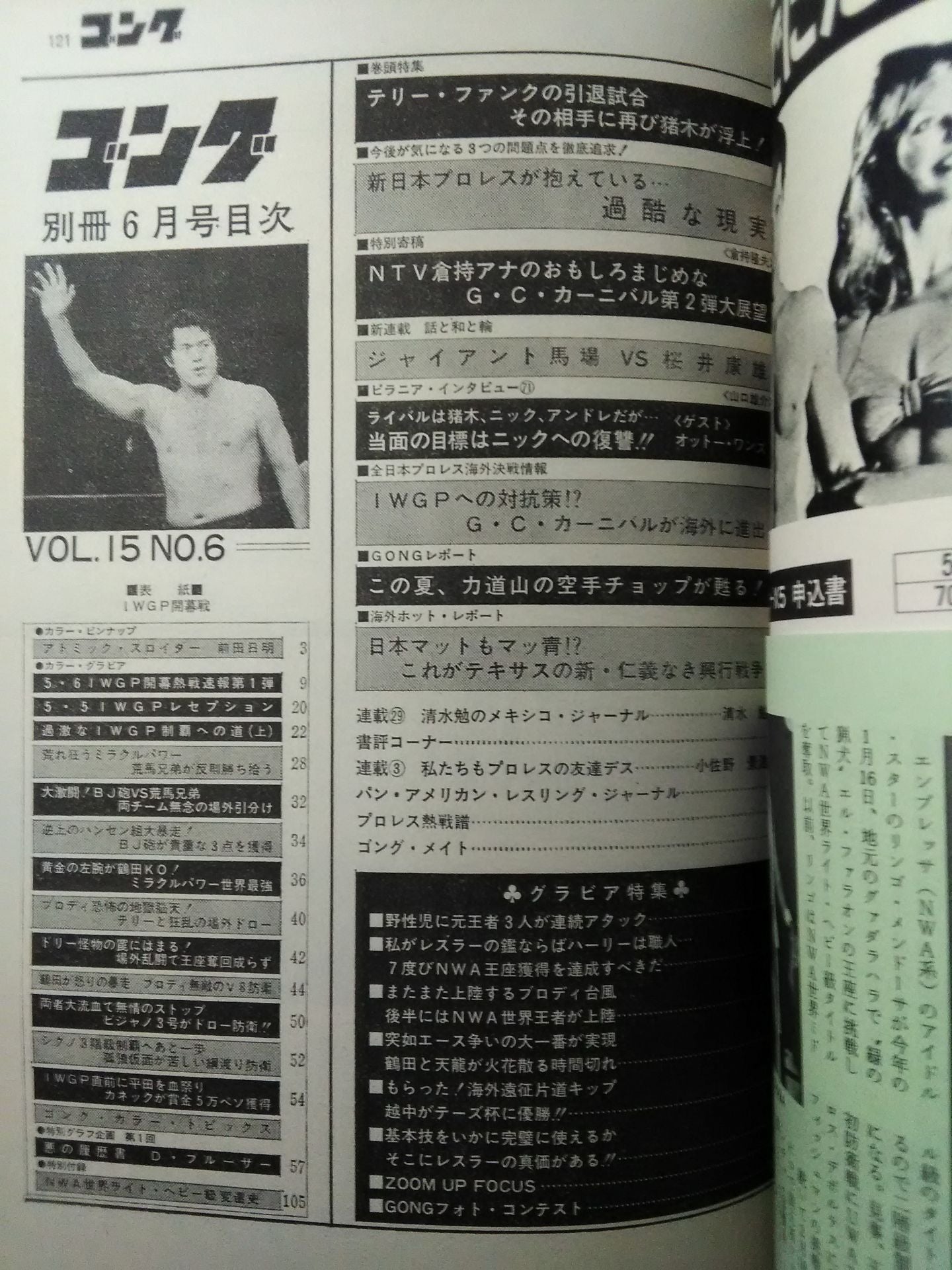 別冊ゴングVol.15 No.6