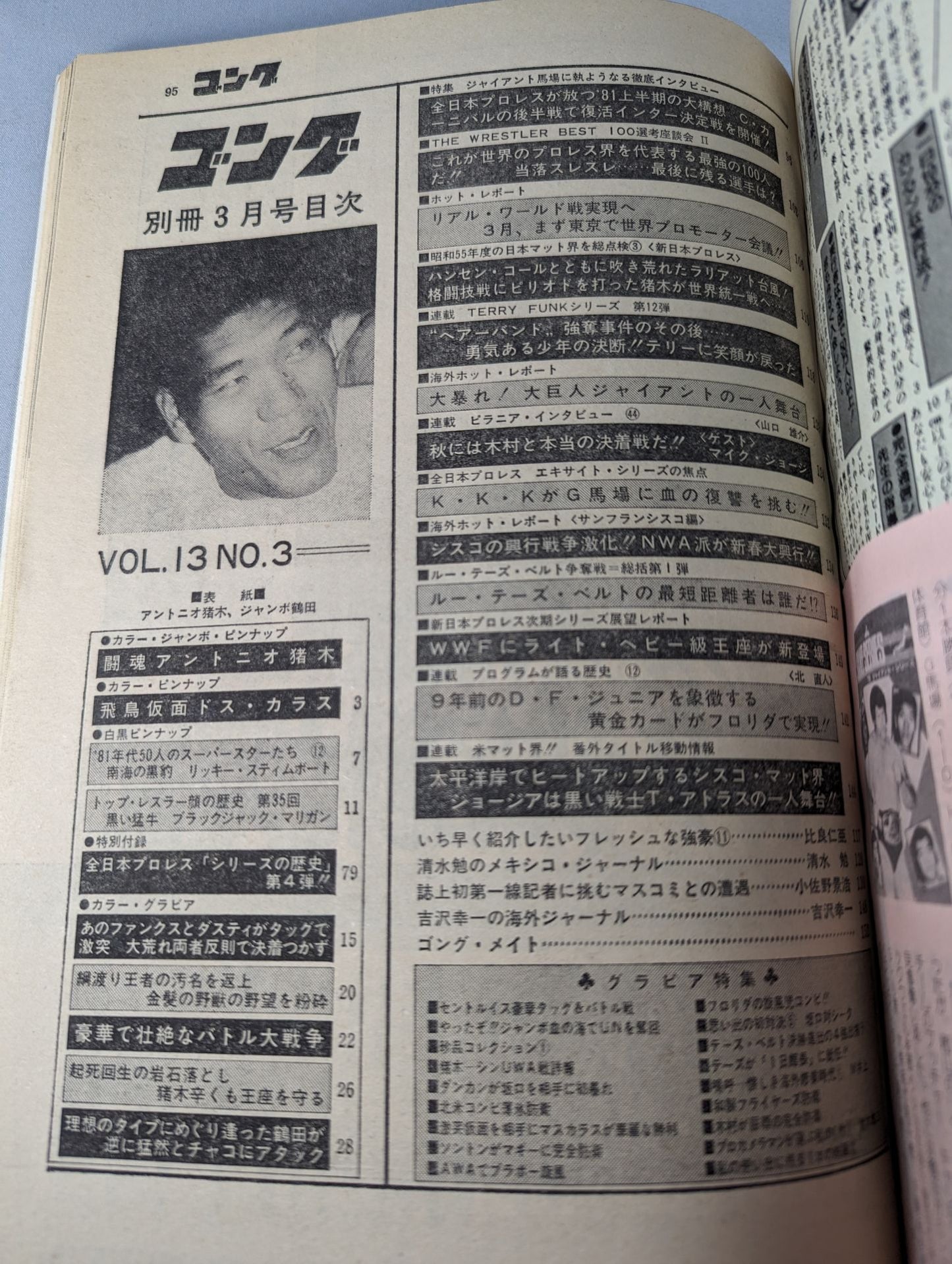 別冊ゴングVol.13 No.3