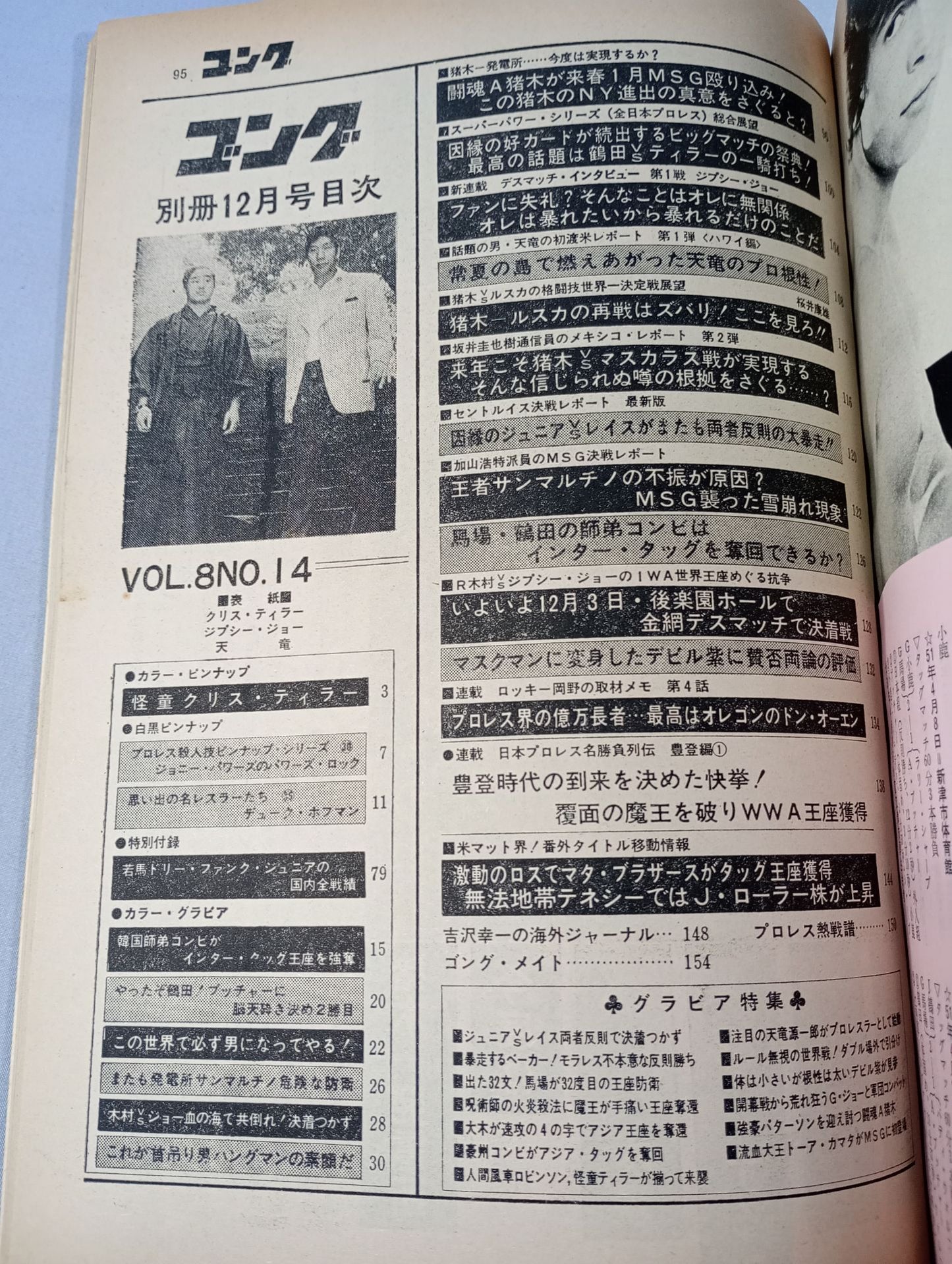 別冊ゴングVol.8 No.14