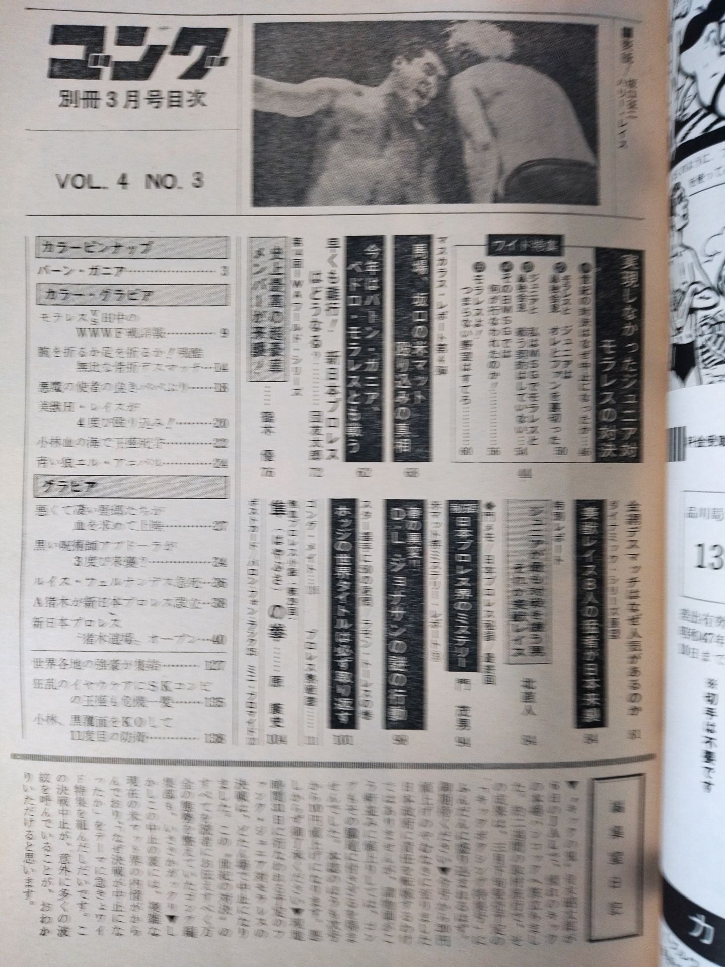 別冊ゴングVol.4 No.3