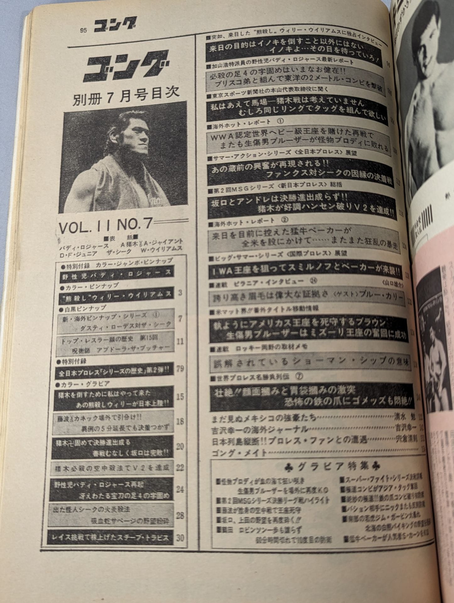 別冊ゴングVol.11 No.8