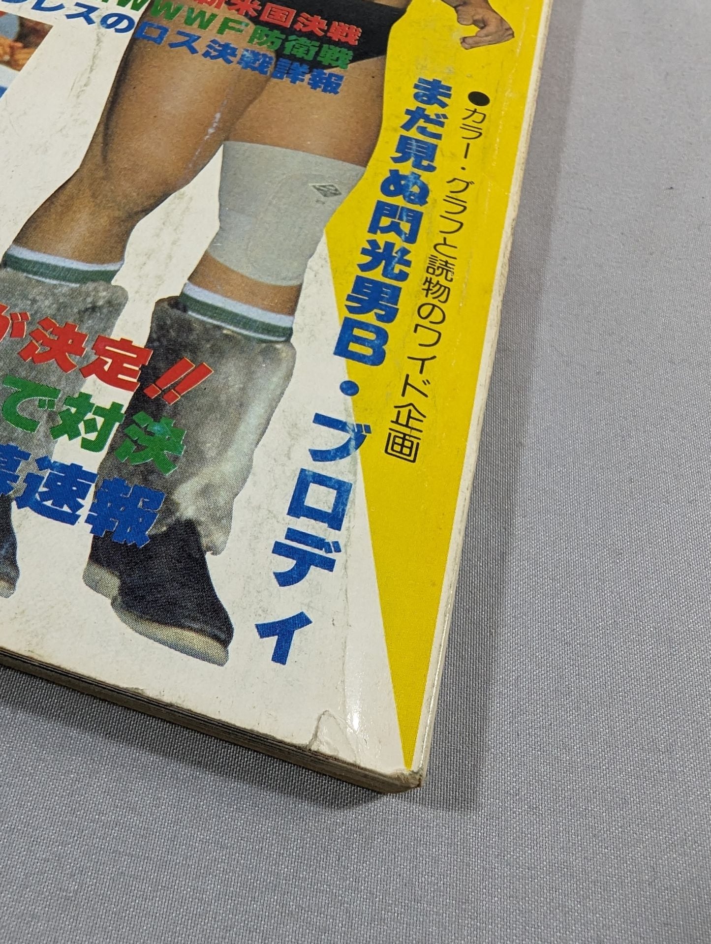 別冊ゴングVol.10 No.13