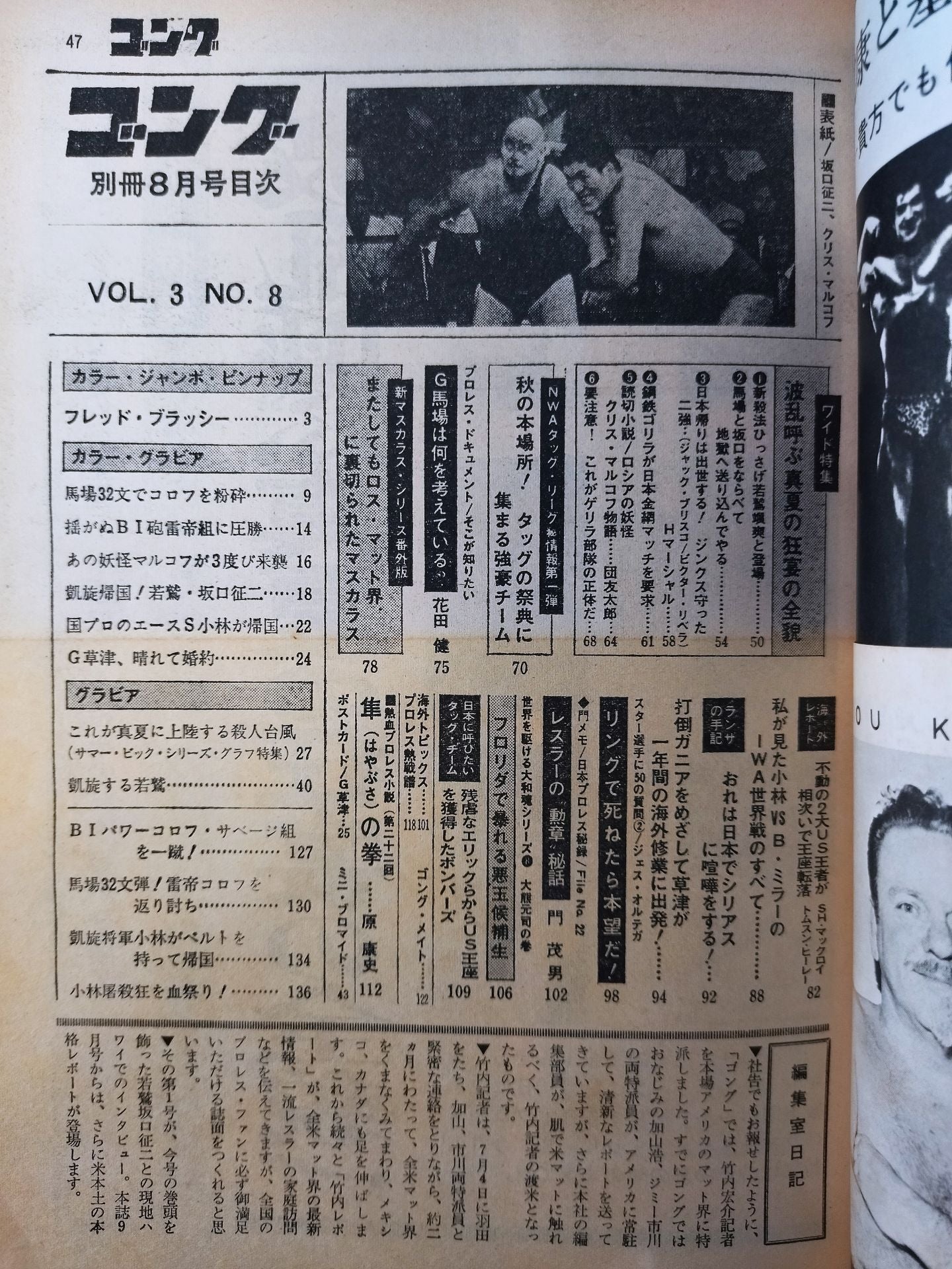 別冊ゴングVol.3 No.8