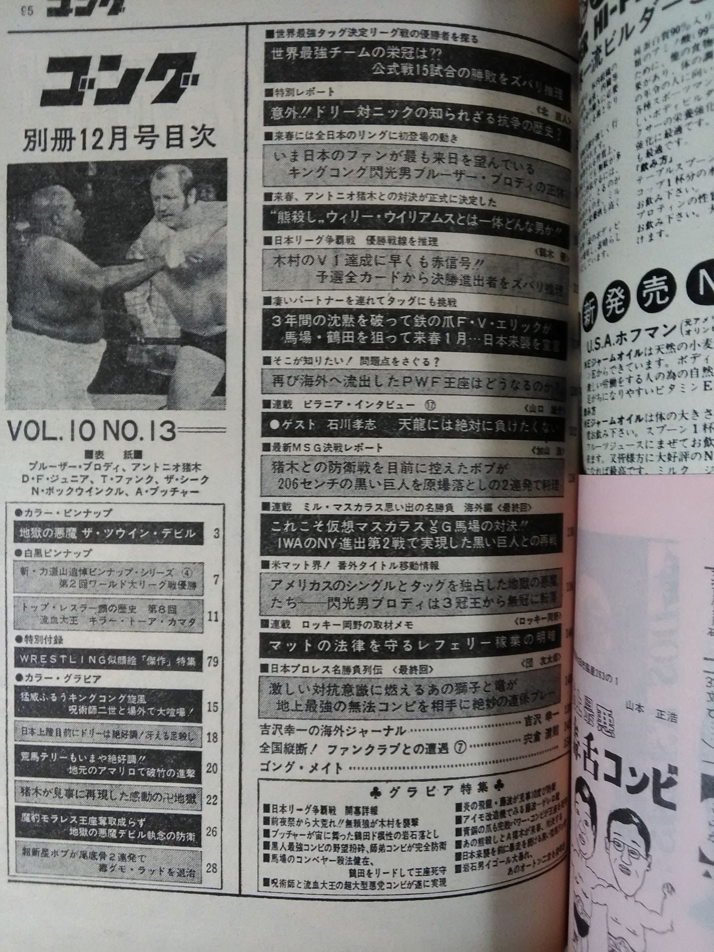 別冊ゴングVol.10 No.13