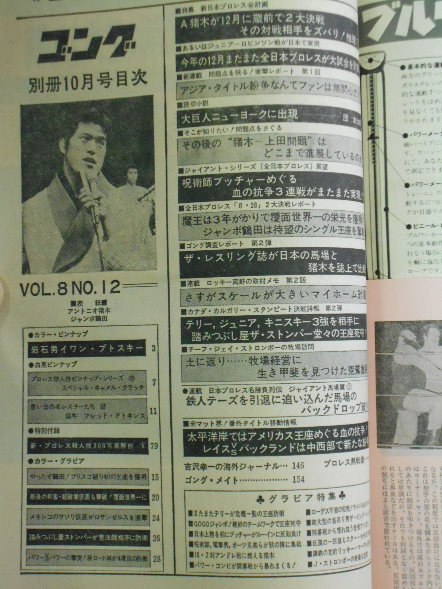 別冊ゴングVol.8 No.12