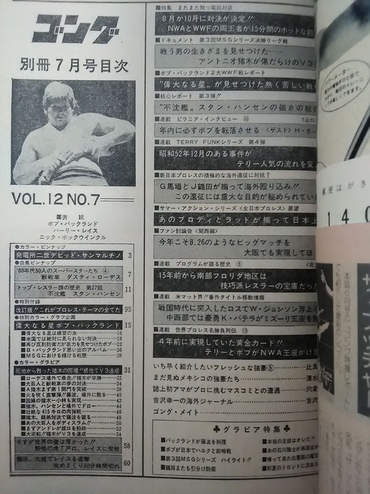 別冊ゴングVol.12 No.7