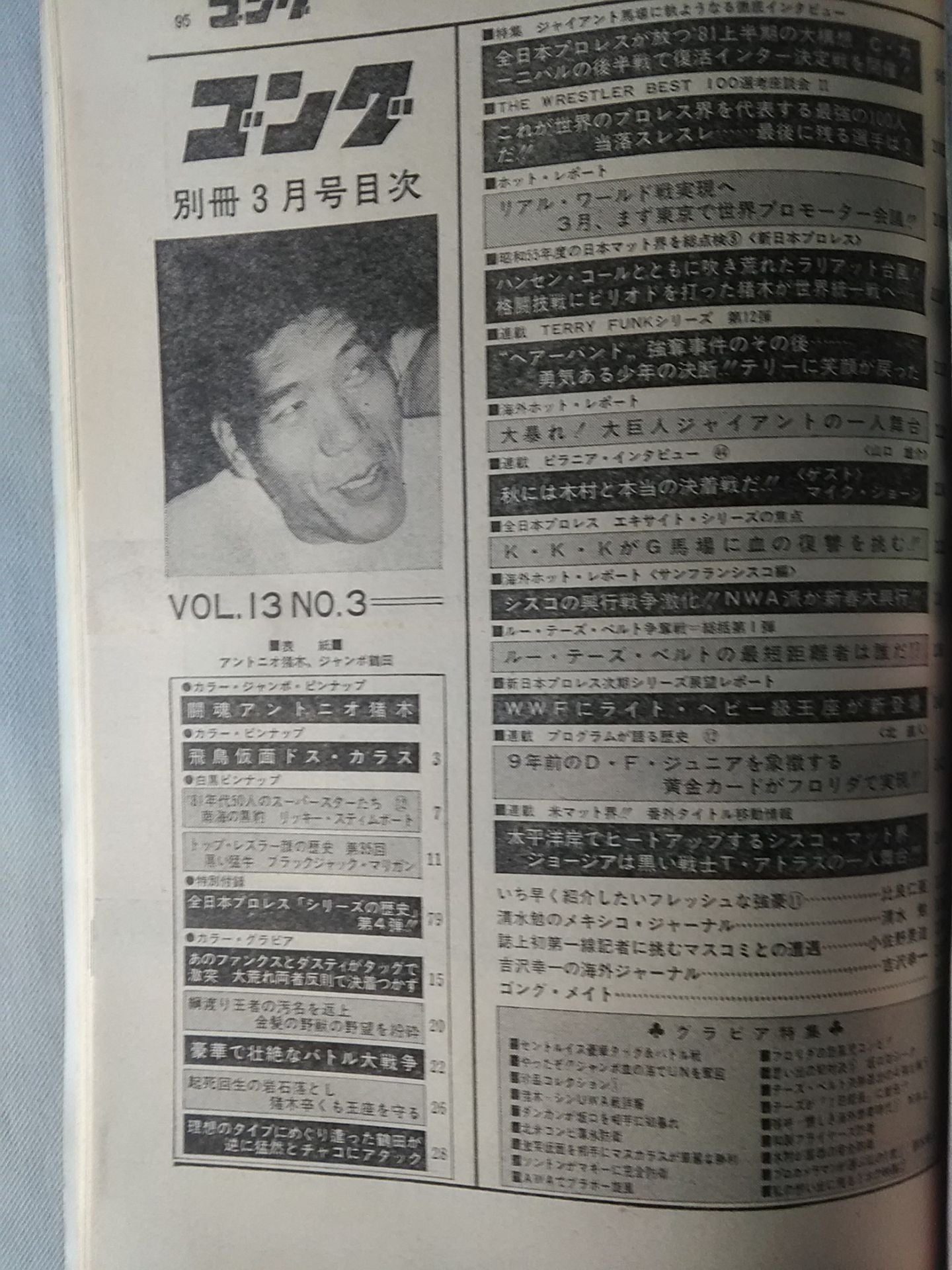 別冊ゴングVol.13 No.3