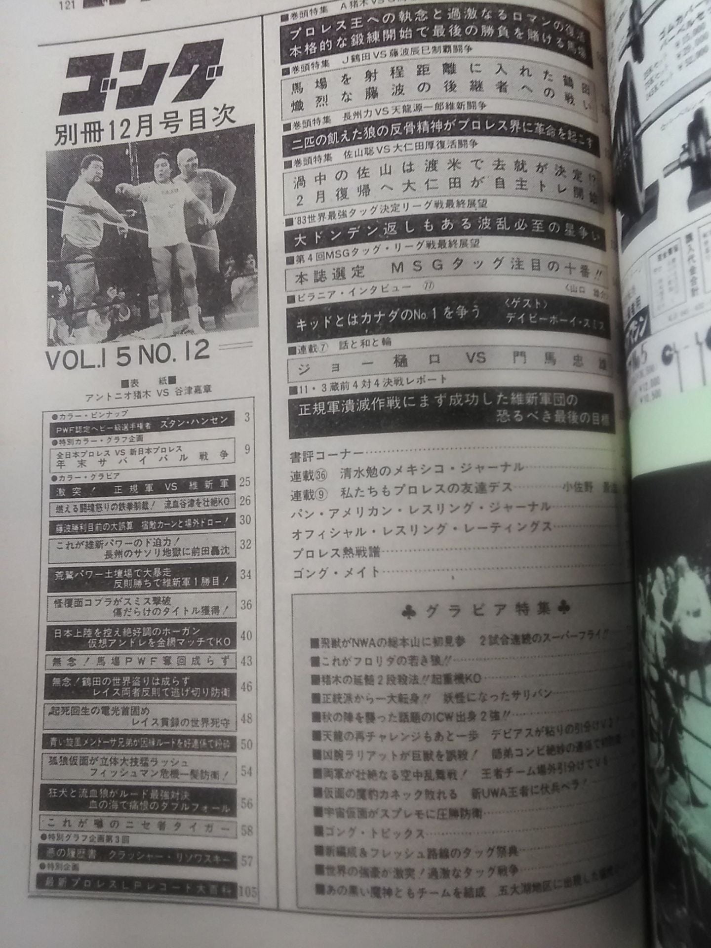 別冊ゴングVol.15 No.12