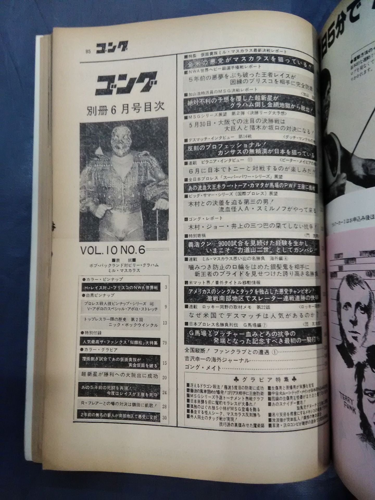 別冊ゴングVol.10 No.6