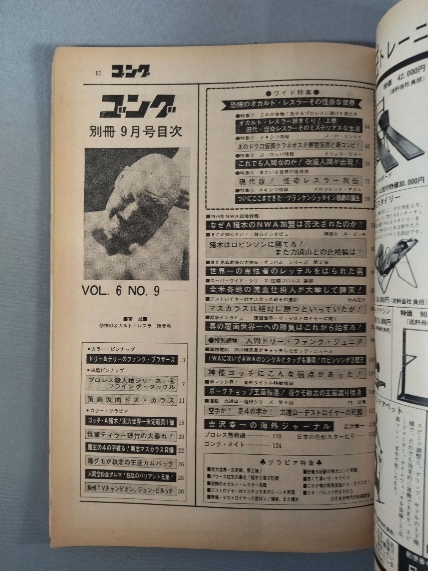 別冊ゴングVol.6 No.9