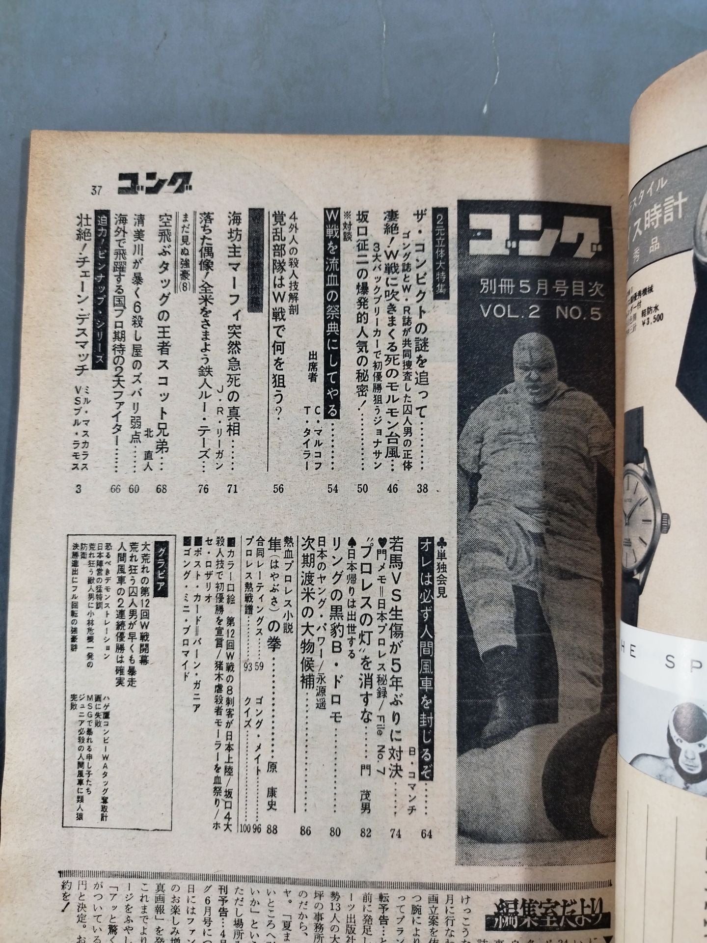 別冊ゴングVol.2 No.5