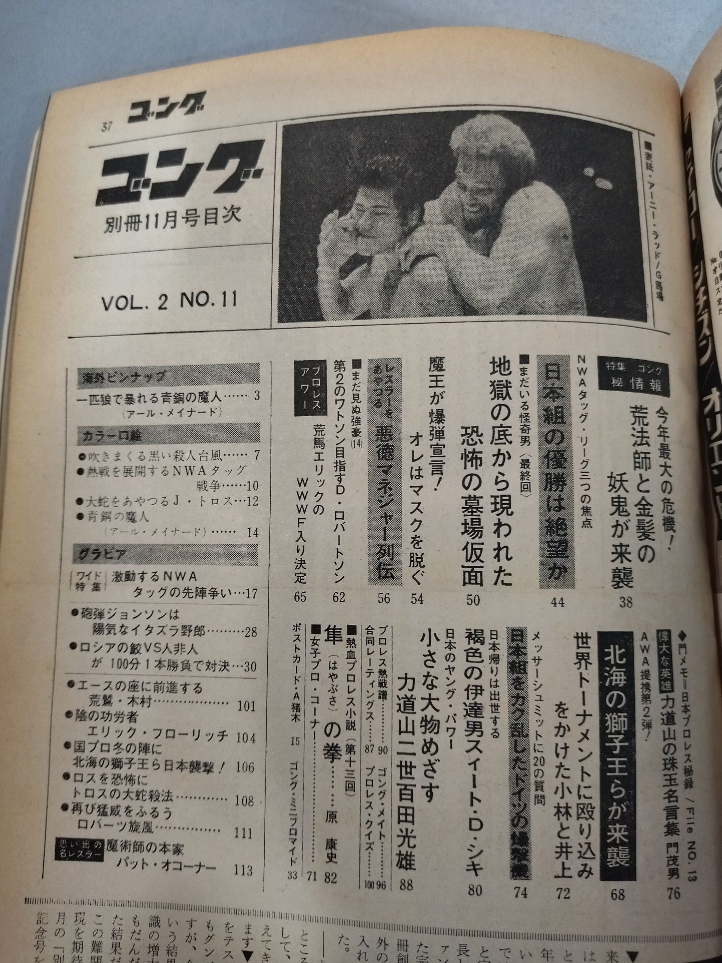 別冊ゴングVol.2 No.11