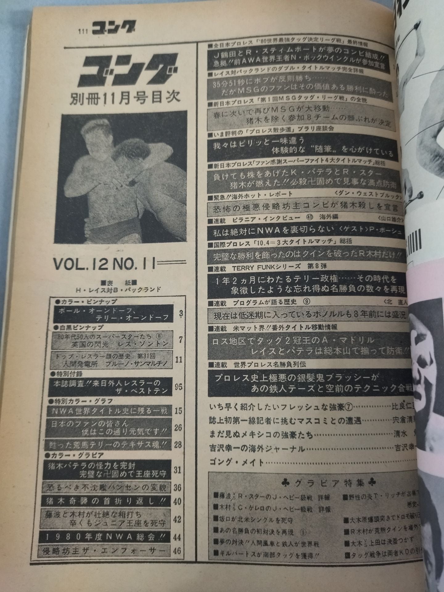 別冊ゴングVol.12 No.11