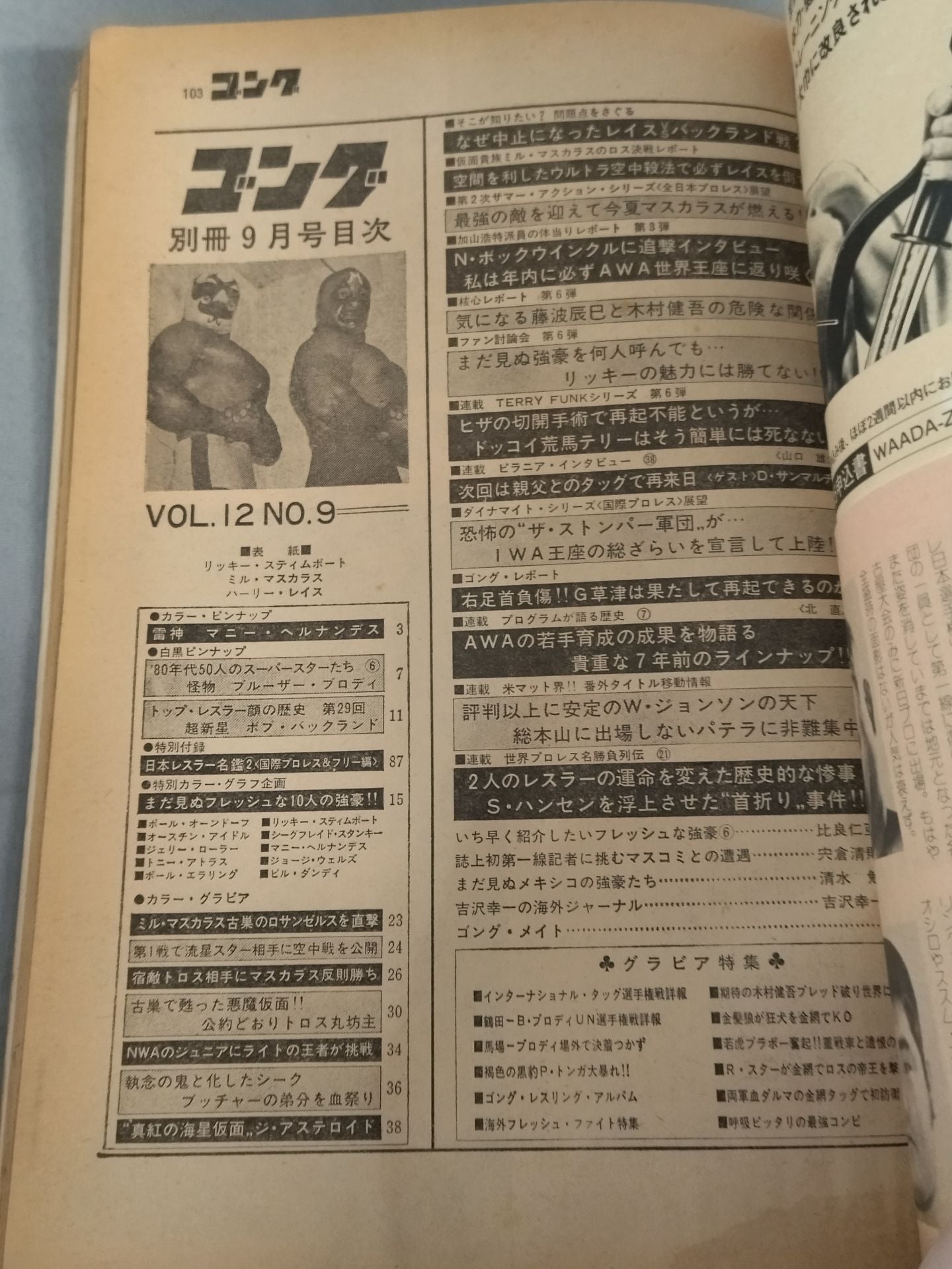 別冊ゴングVol.12 No.9