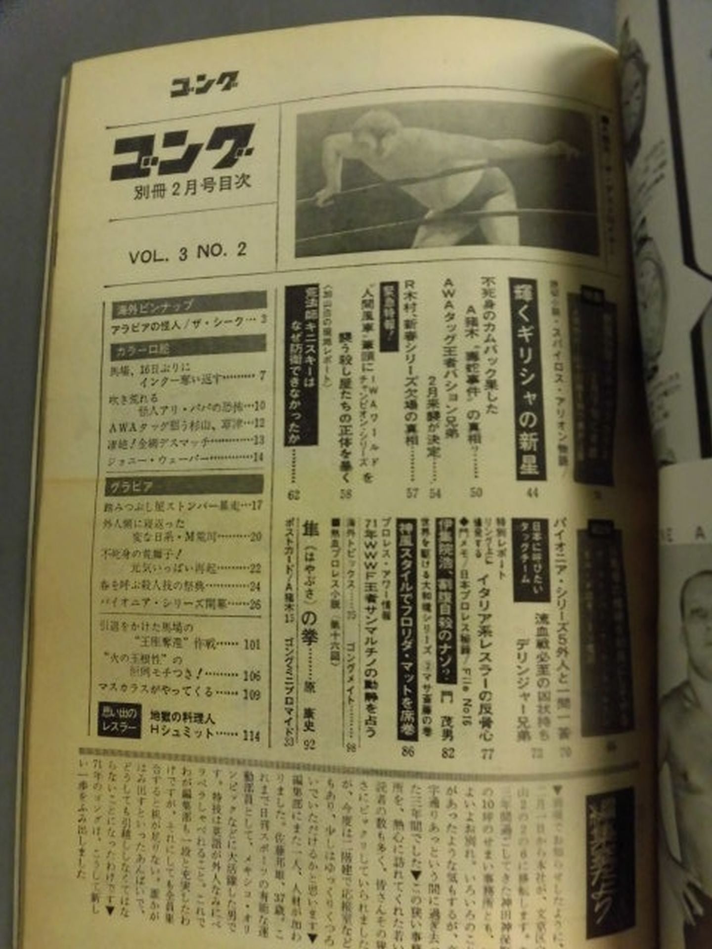 別冊ゴングVol.3 No.2