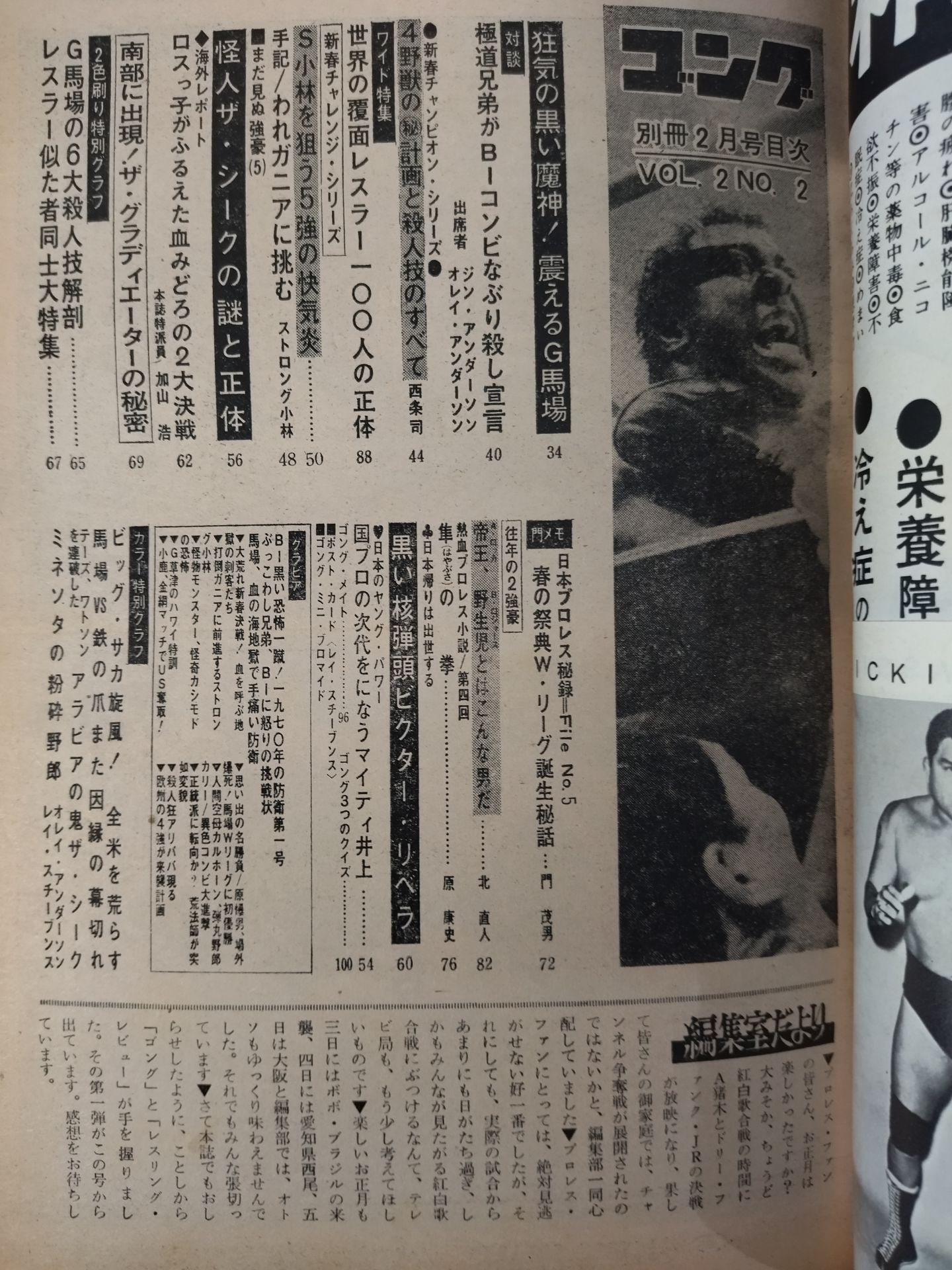 別冊ゴングVol.2 No.2