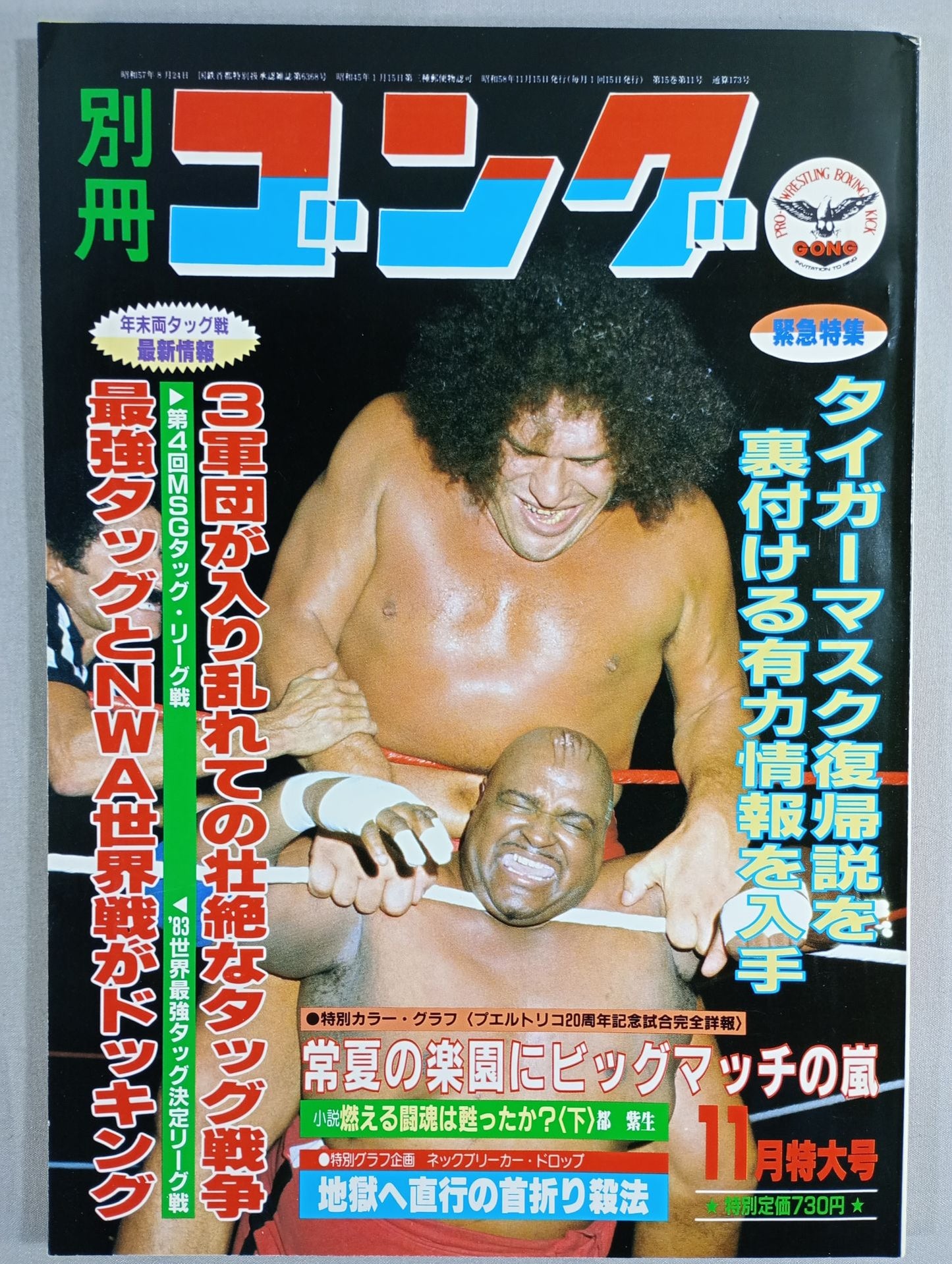 別冊ゴングVol.15 No.11