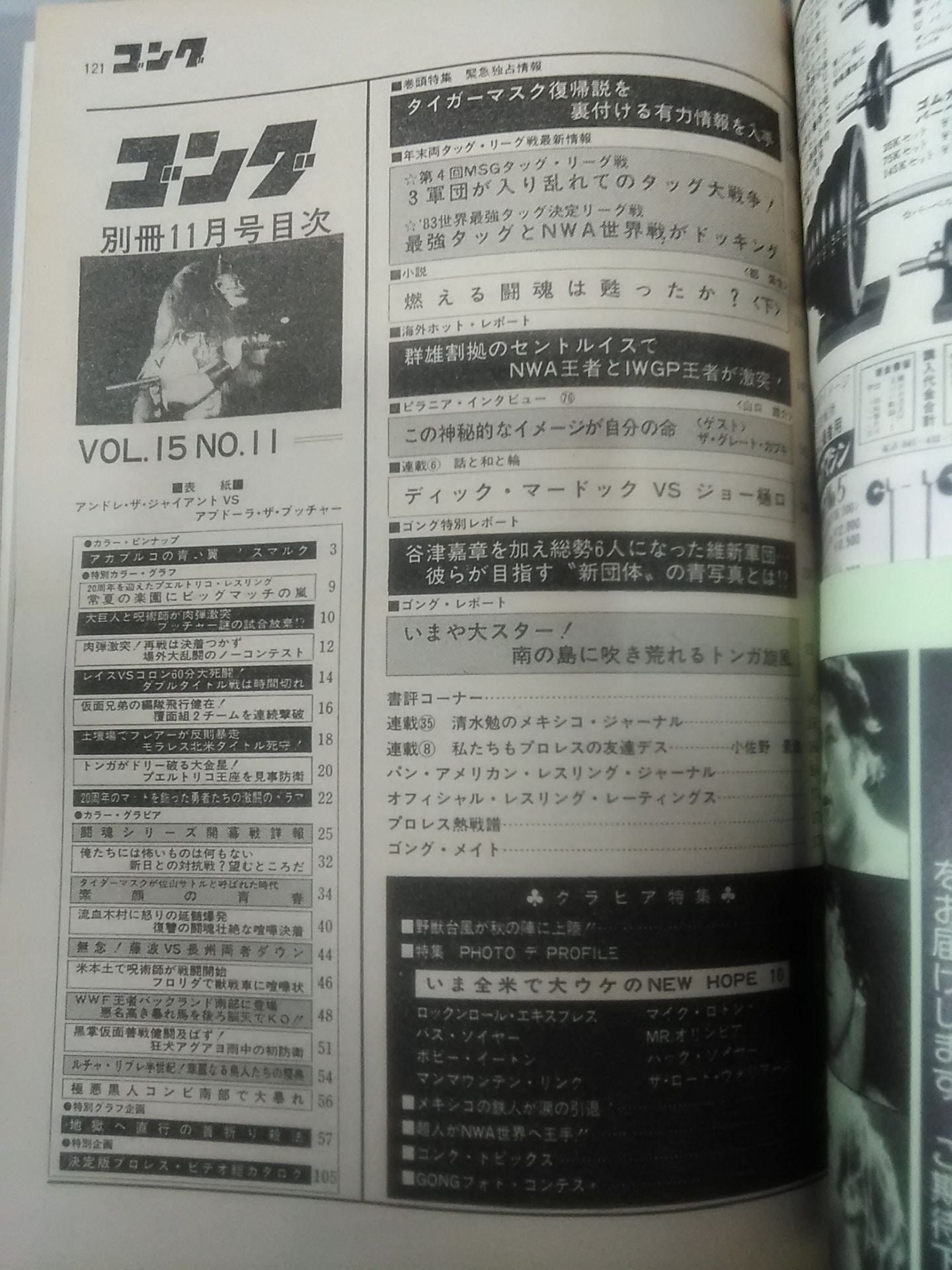 別冊ゴングVol.15 No.11