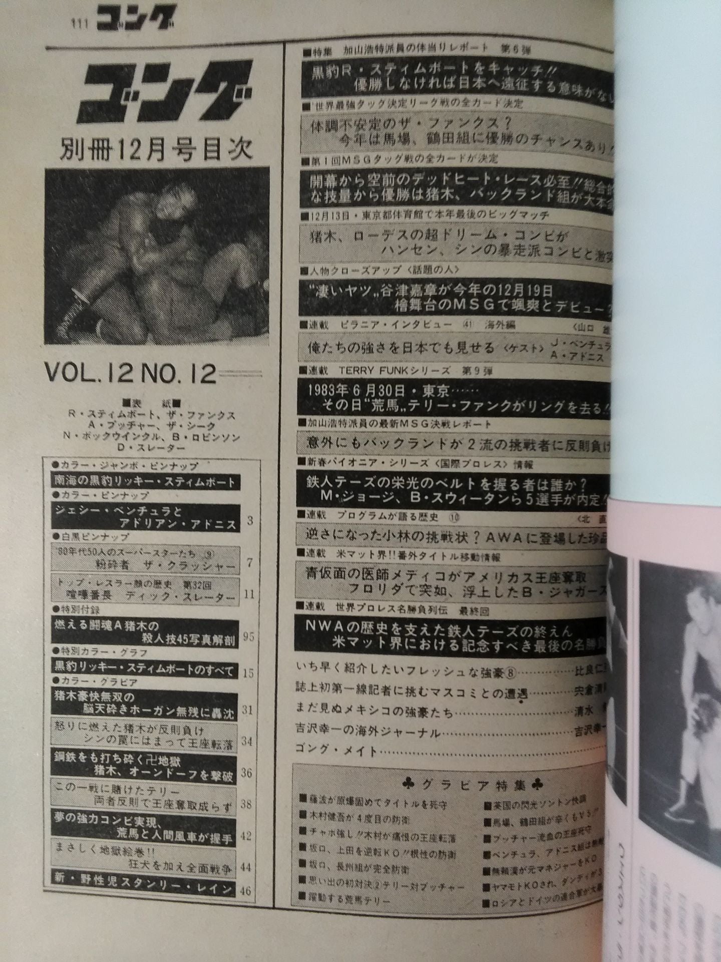 別冊ゴングVol.12 No.12