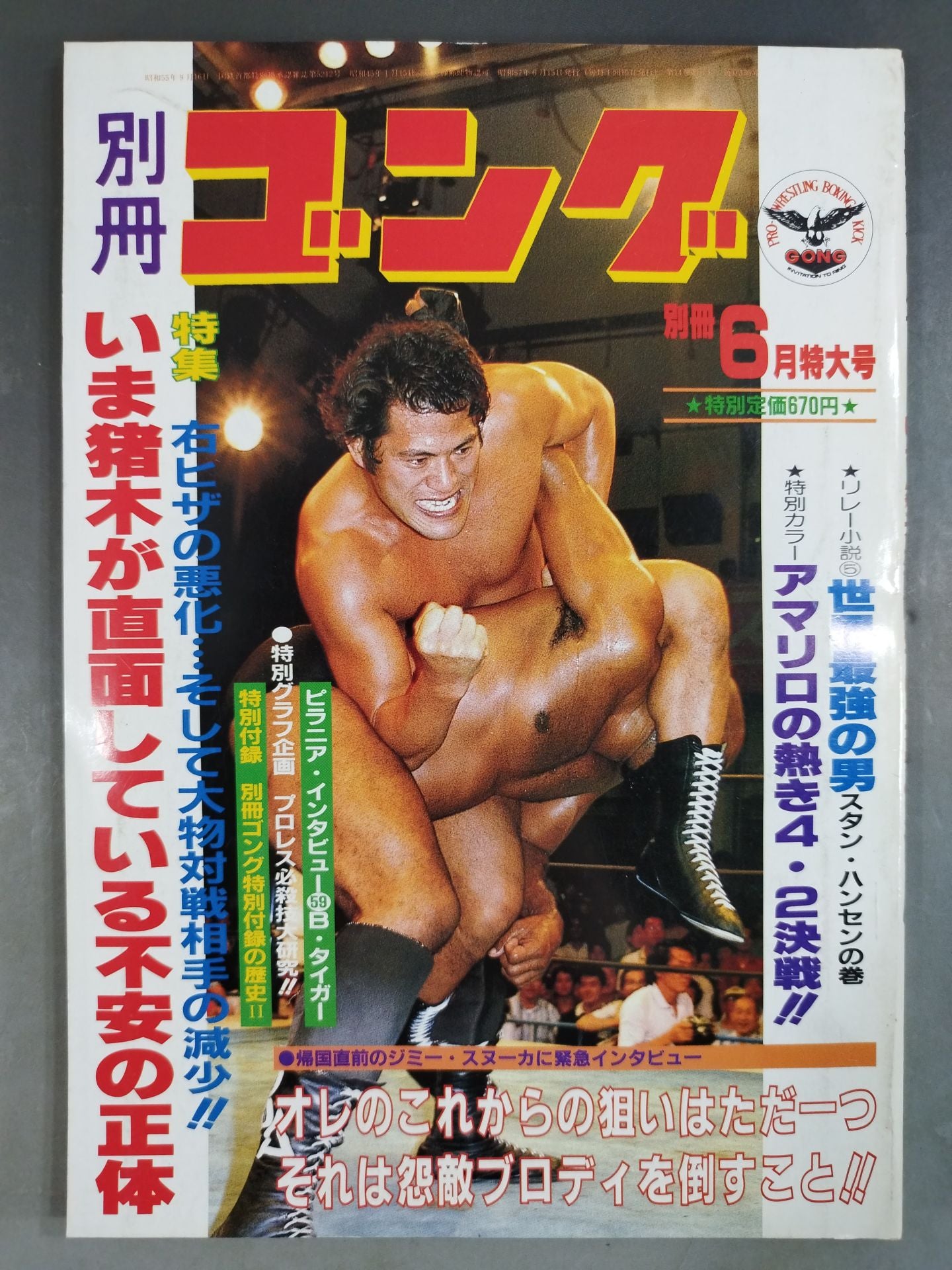 別冊ゴングVol.14 No.6