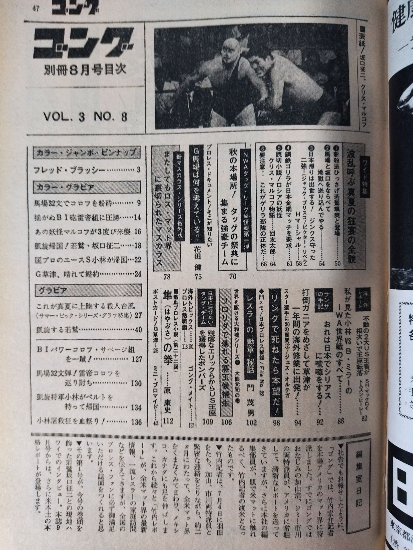 別冊ゴングVol.3 No.8