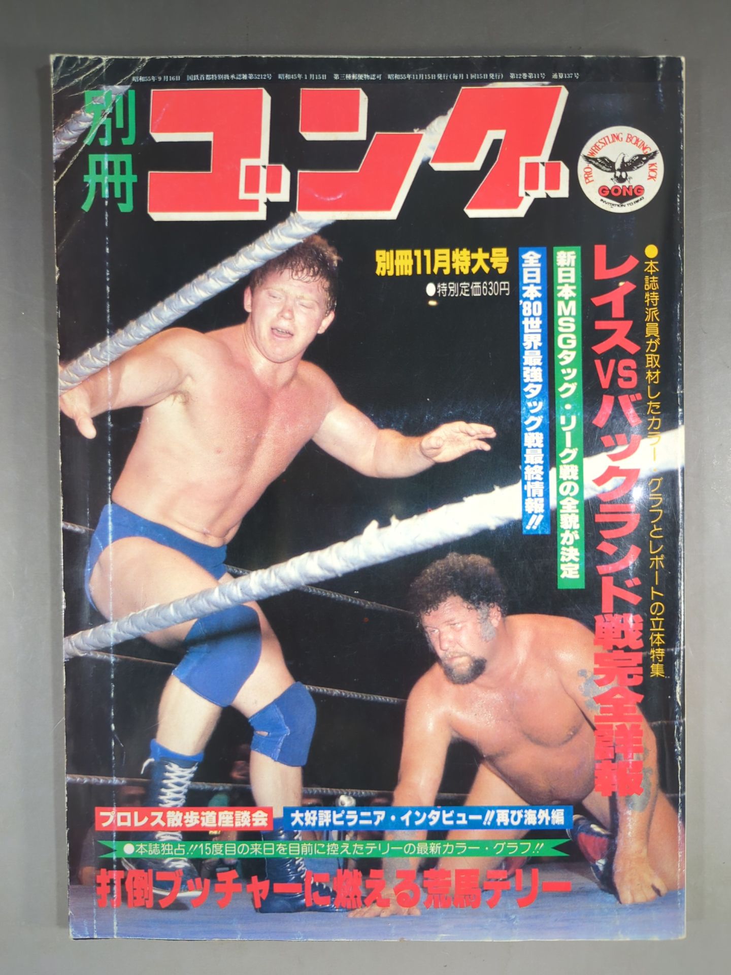 別冊ゴングVol.12 No.11