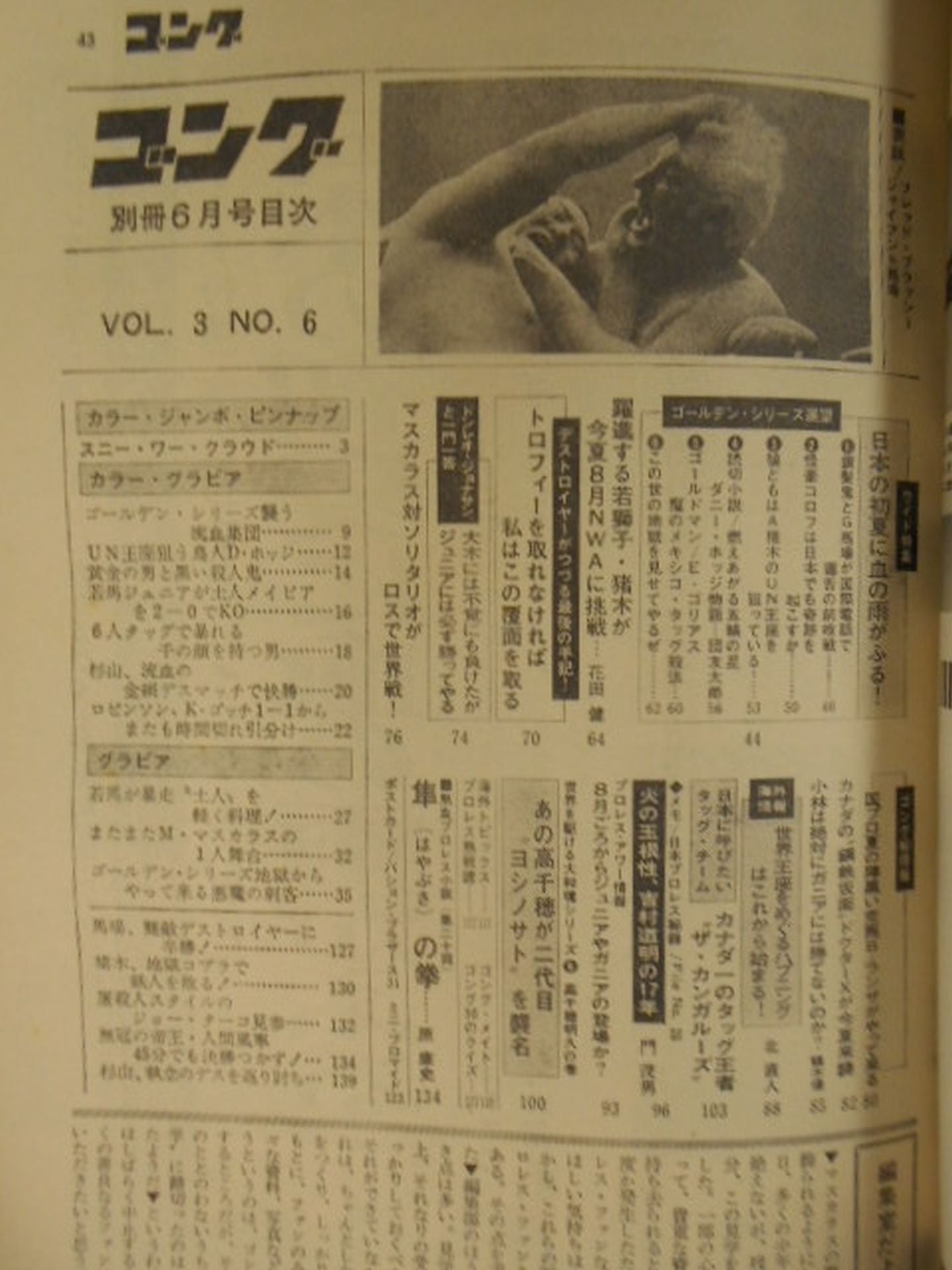 別冊ゴングVol.3 No.6