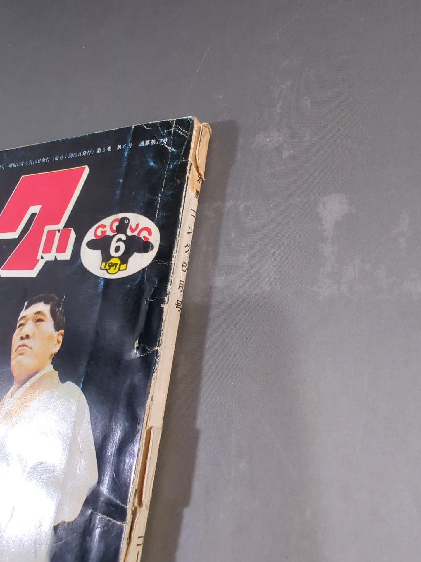 別冊ゴングVol.3 No.6