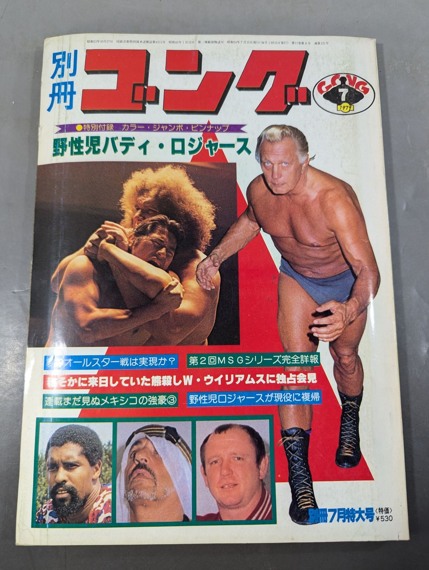 別冊ゴングVol.11 No.8