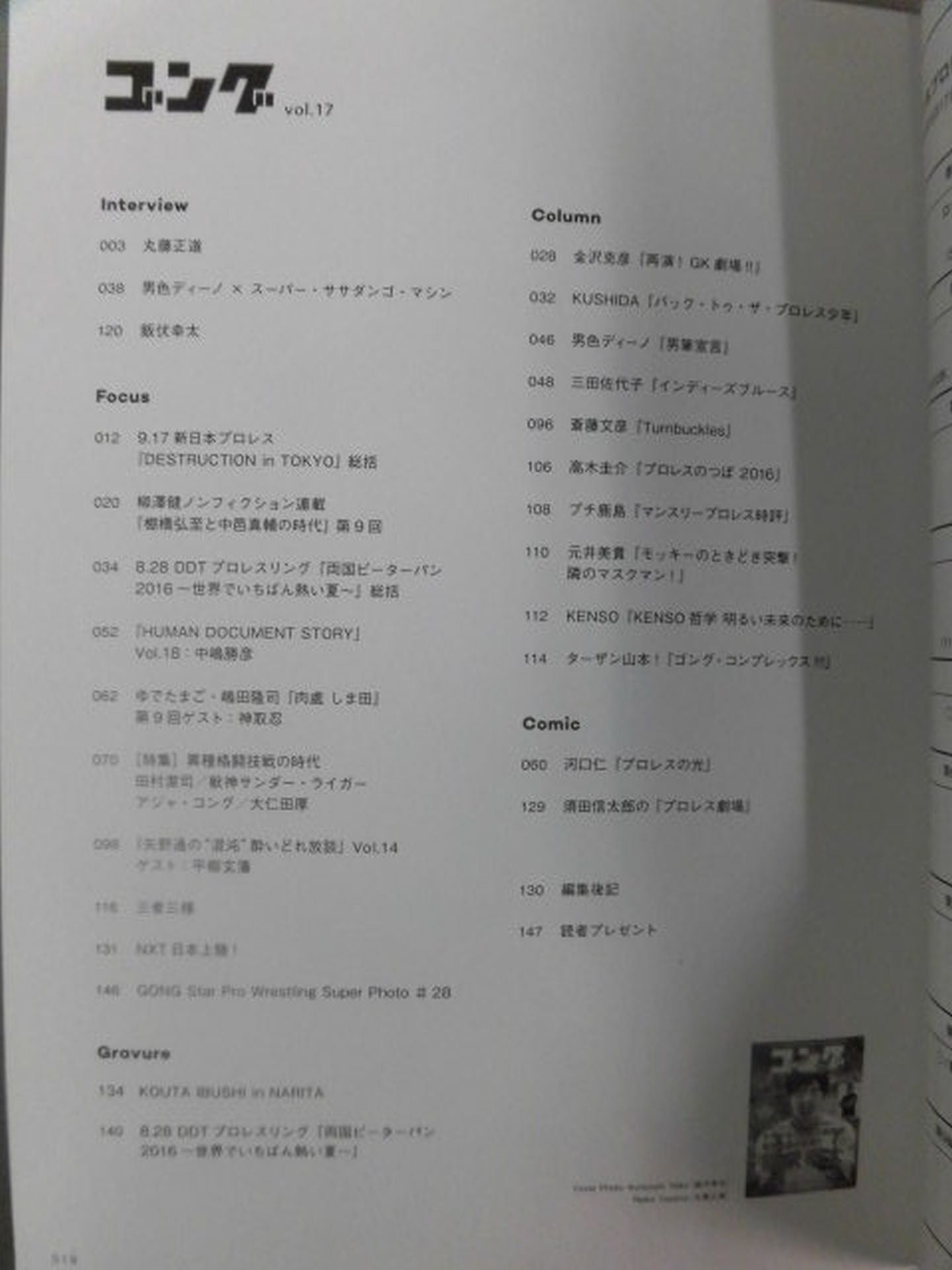 Gong Vol.17