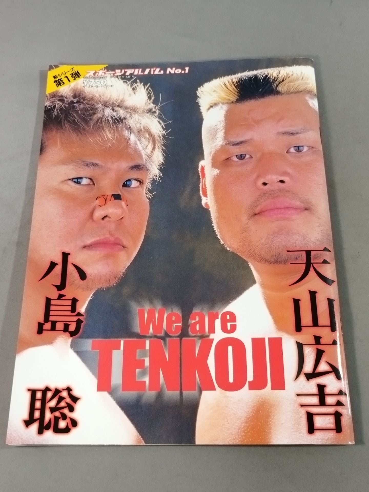 Sports Album 1 Hiroyoshi Tenzan & Satoshi Kojima