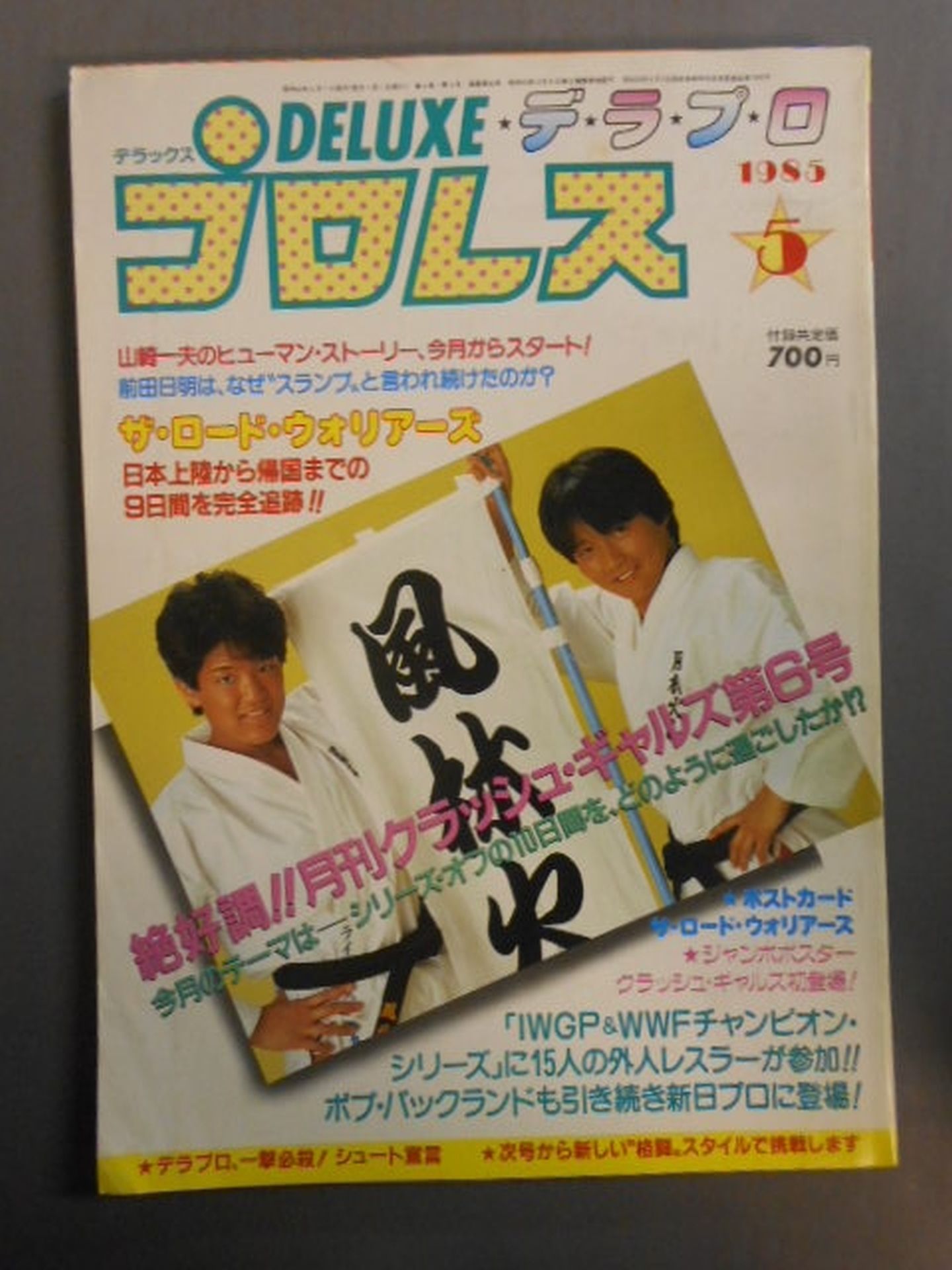 Deluxe Pro Wrestling May 1985 Issue