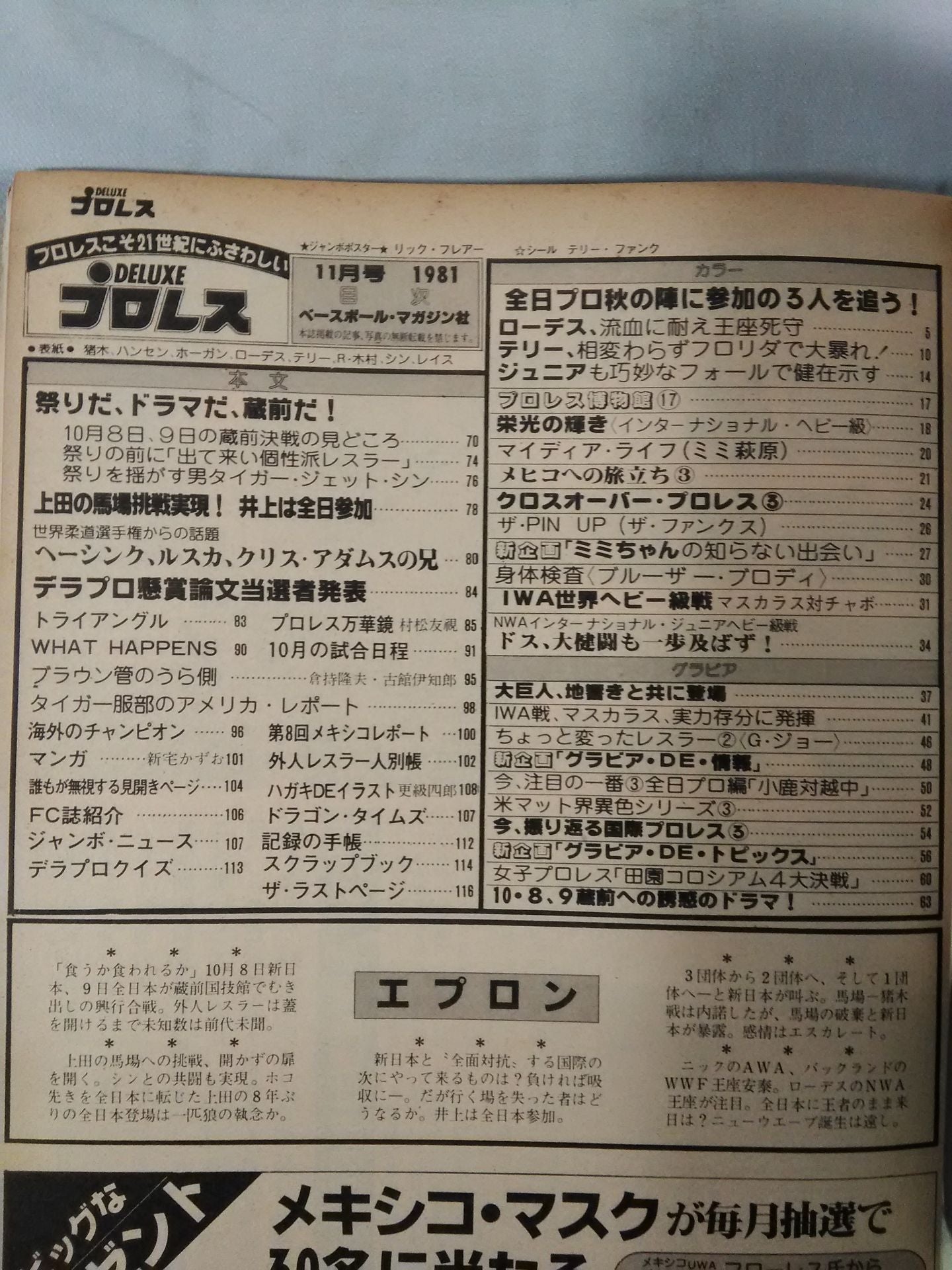 Deluxe Pro Wrestling November 1981